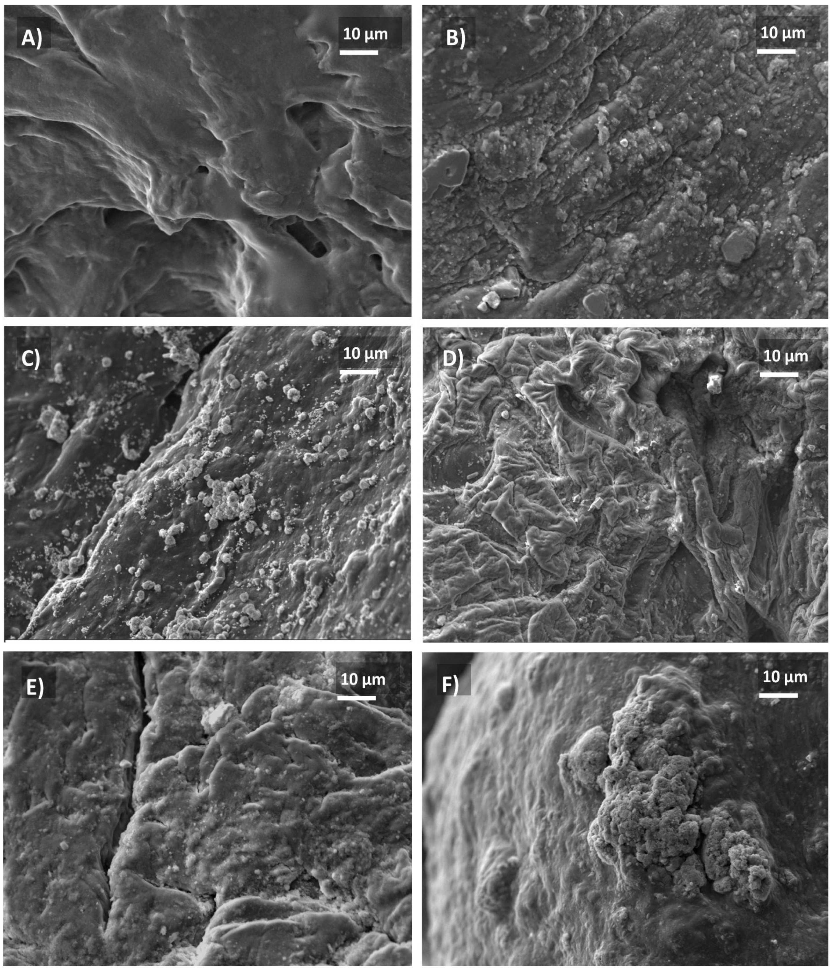 Gels 07 00184 g003 550
