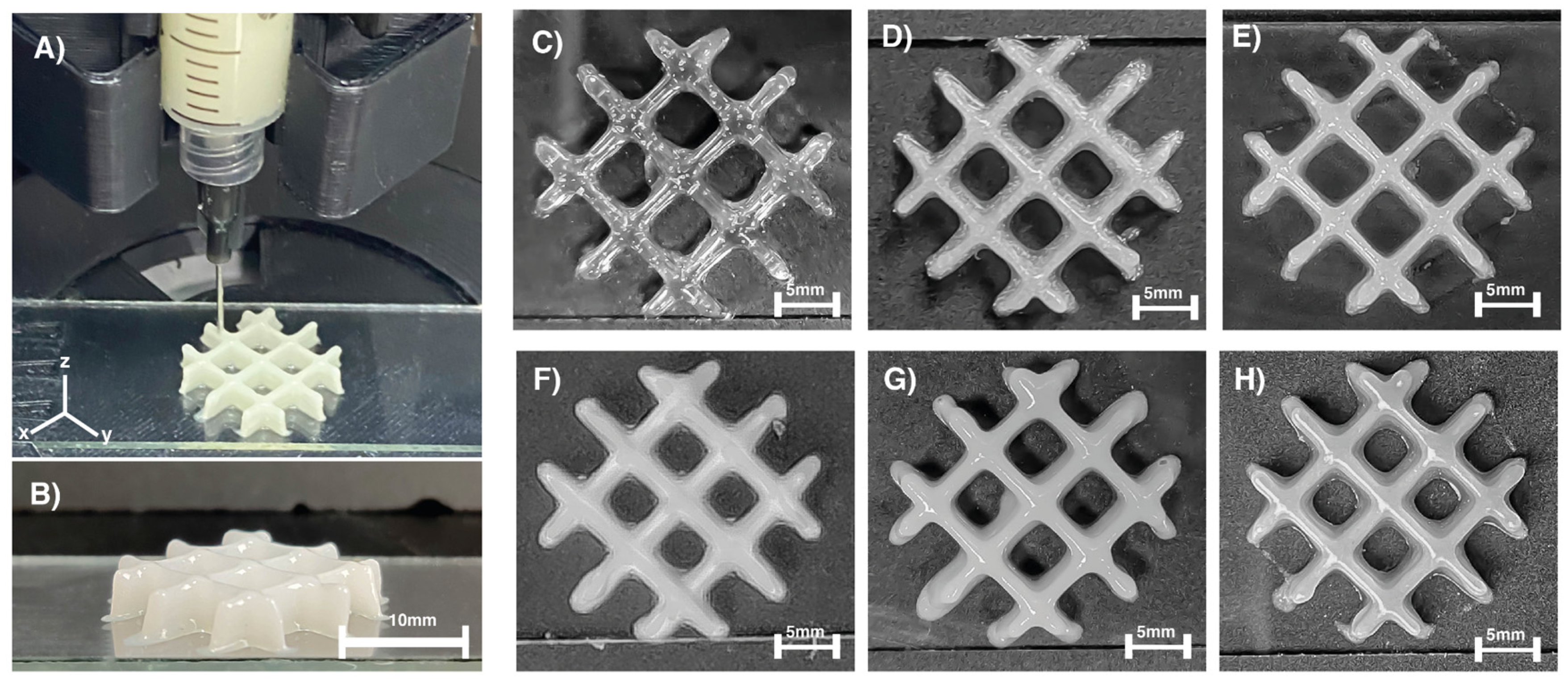 Gels 07 00184 g004 550