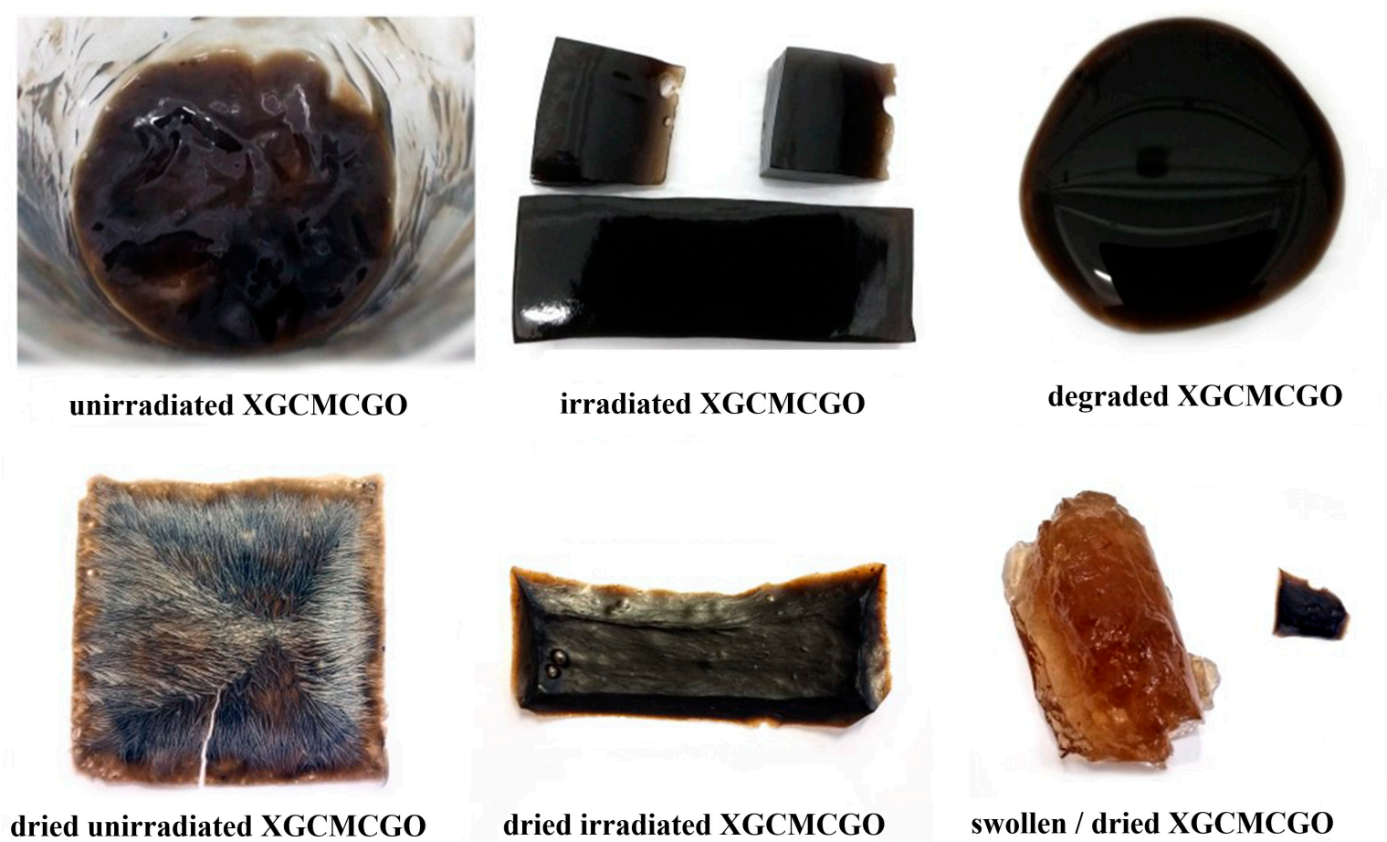 Gels 07 00189 g007 550