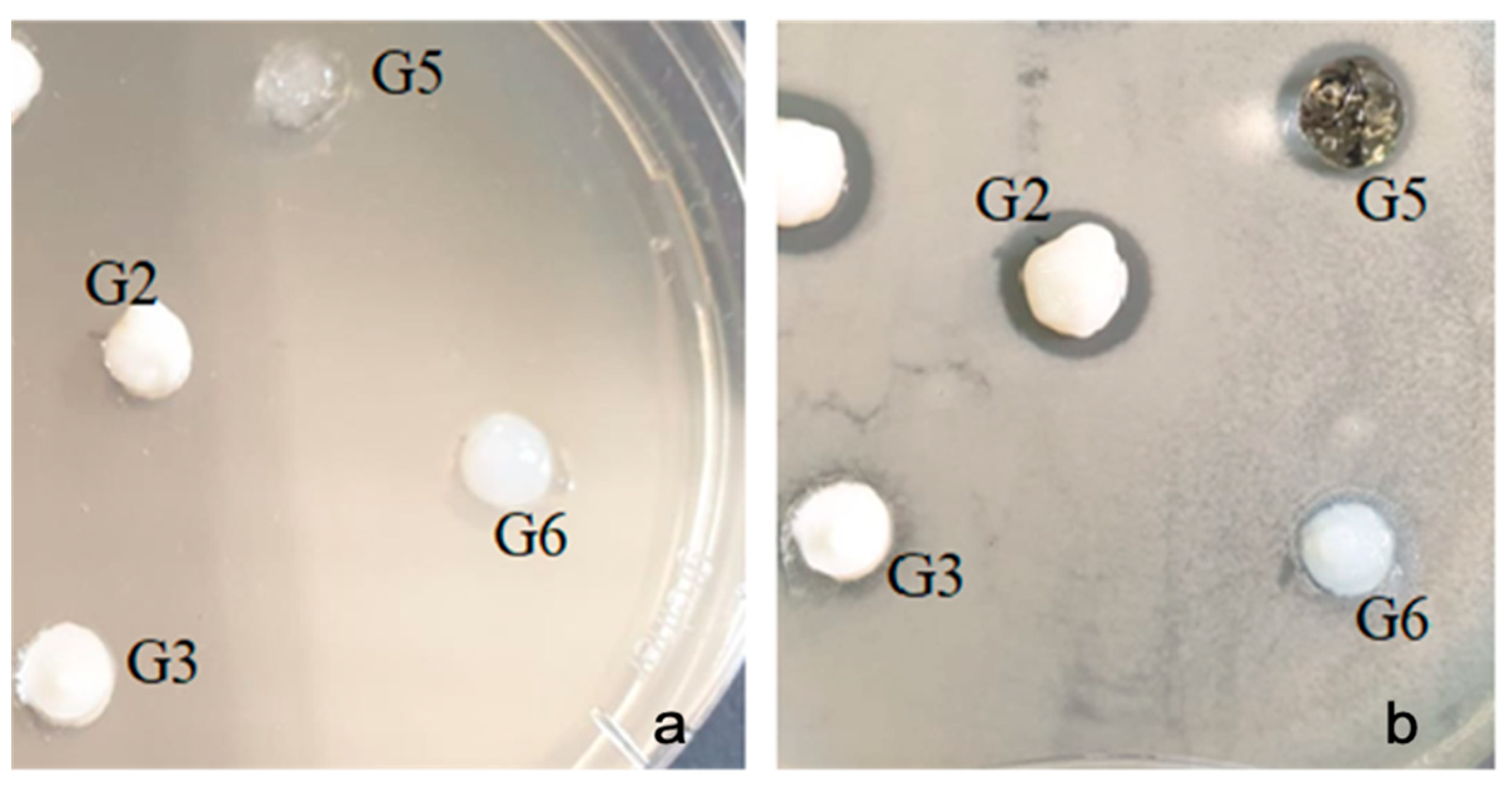 Gels 07 00191 g008 550