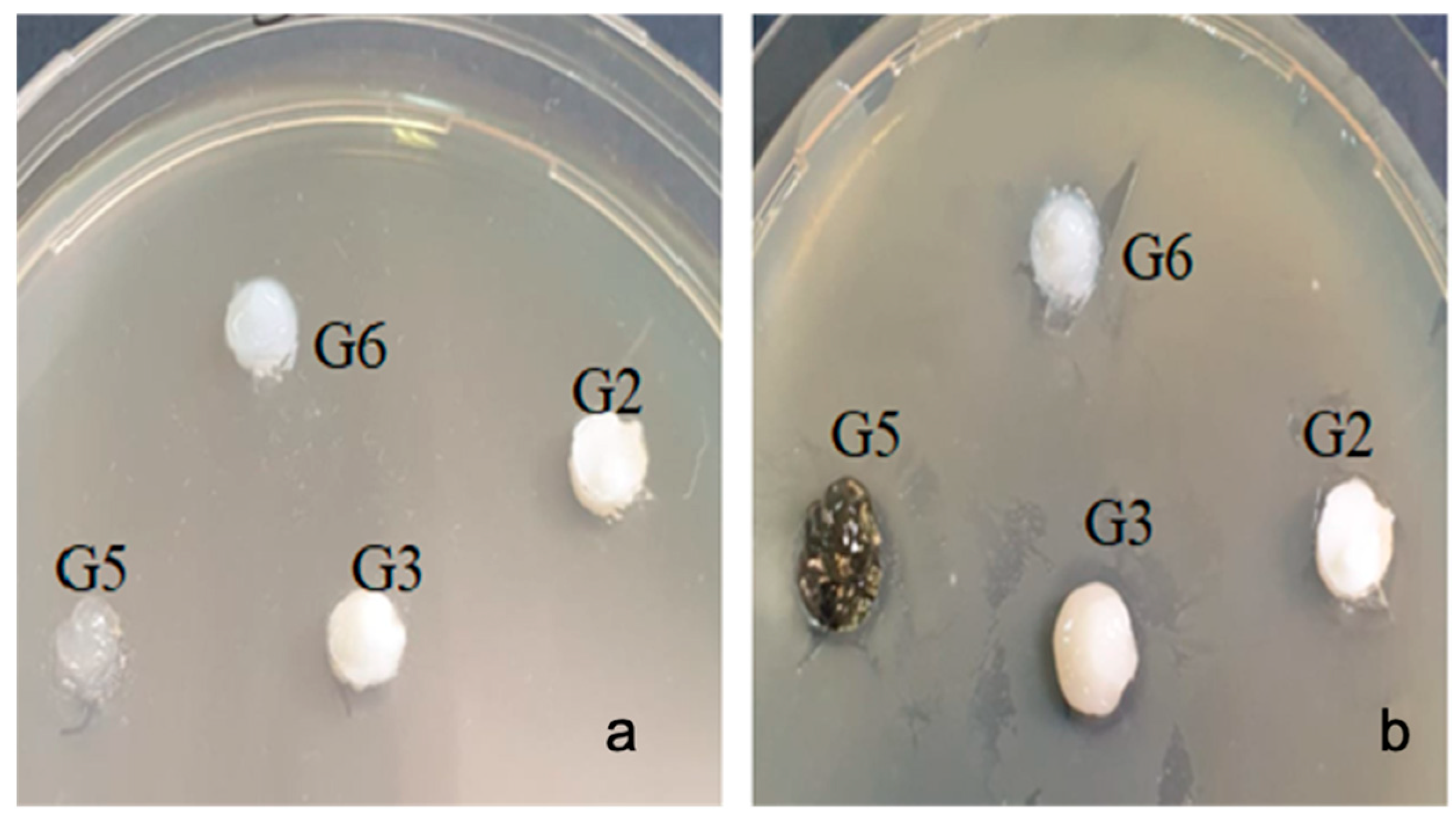 Gels 07 00191 g009 550