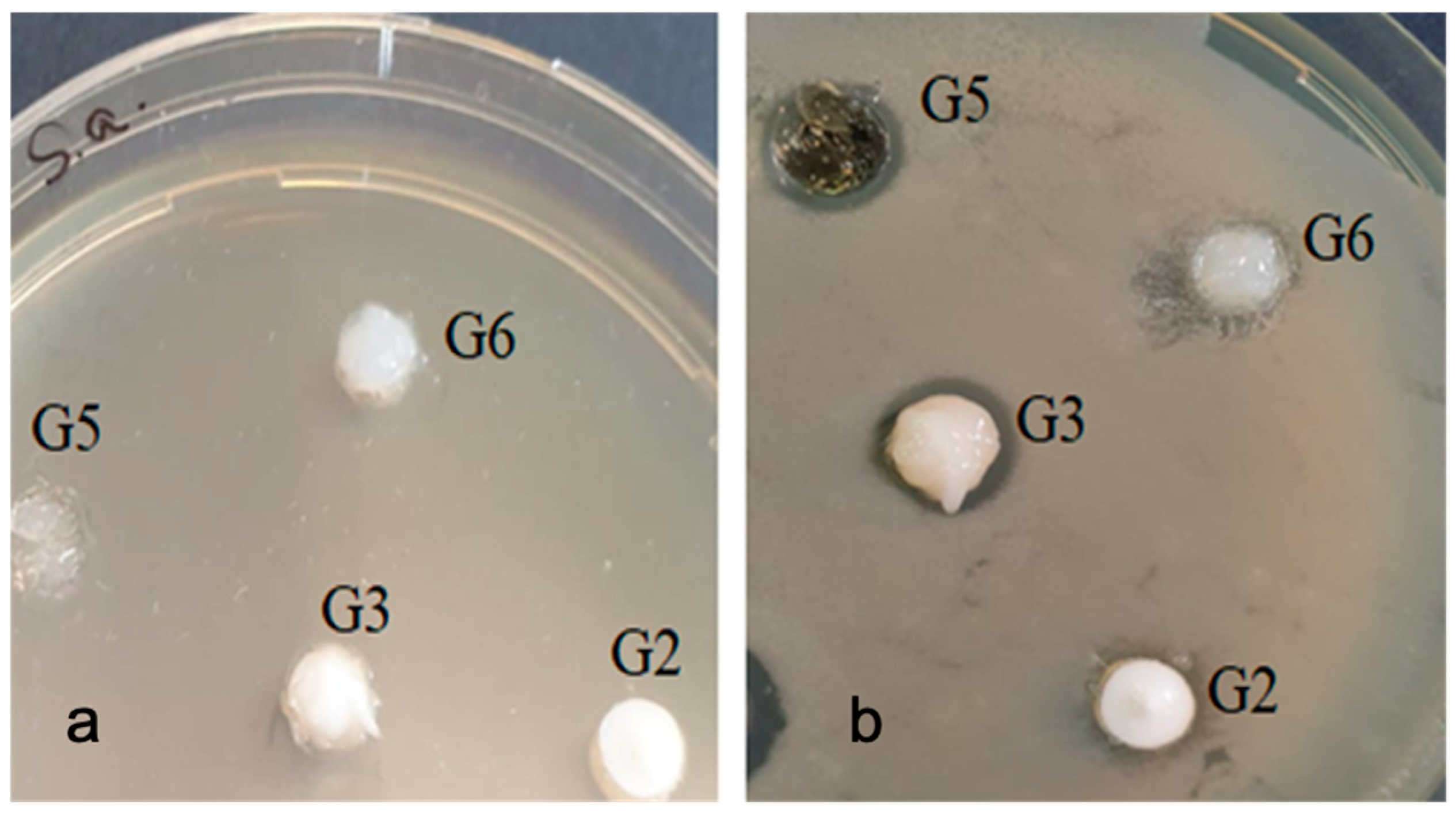 Gels 07 00191 g010 550