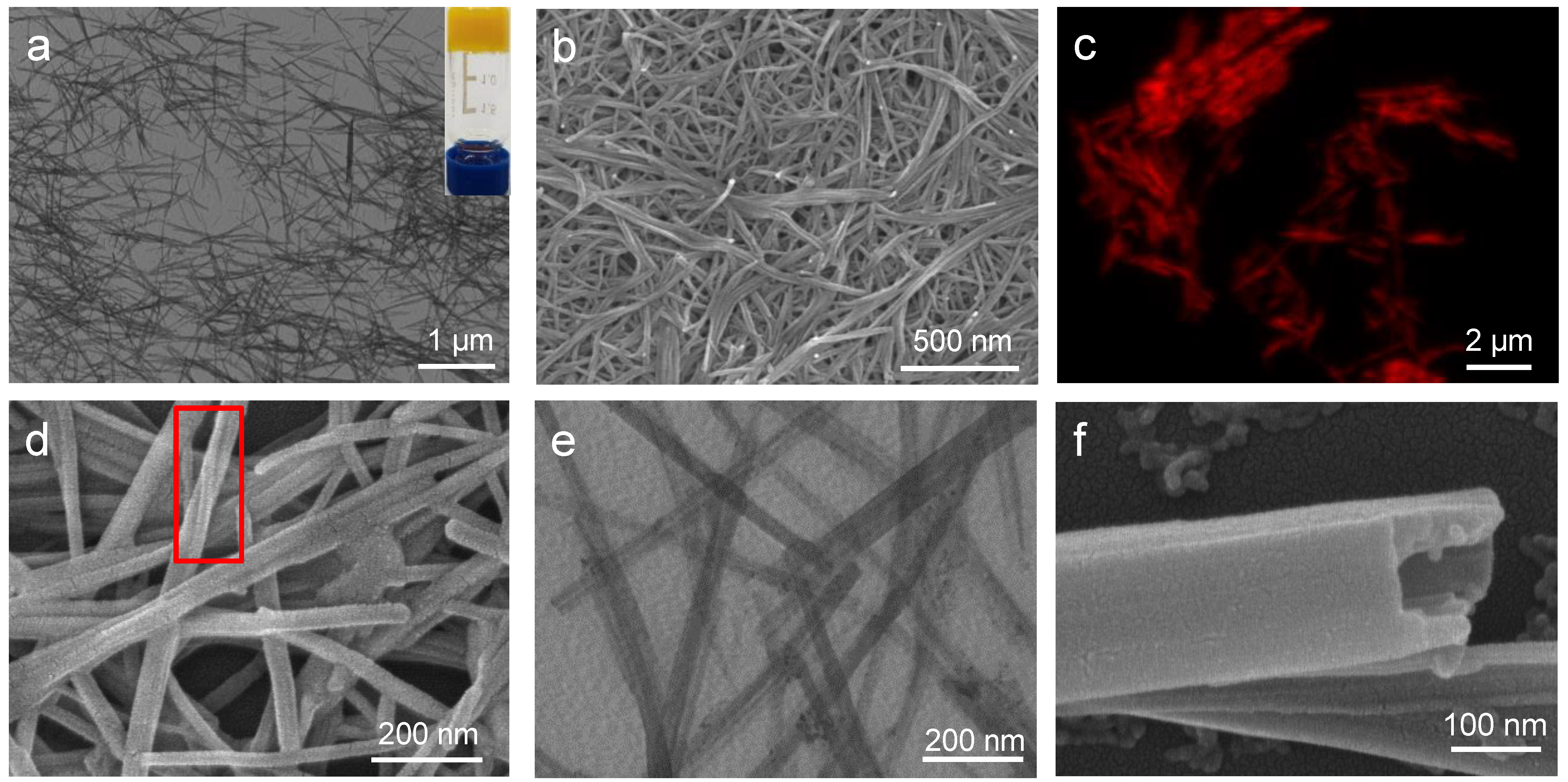 Gels 07 00192 g002 550