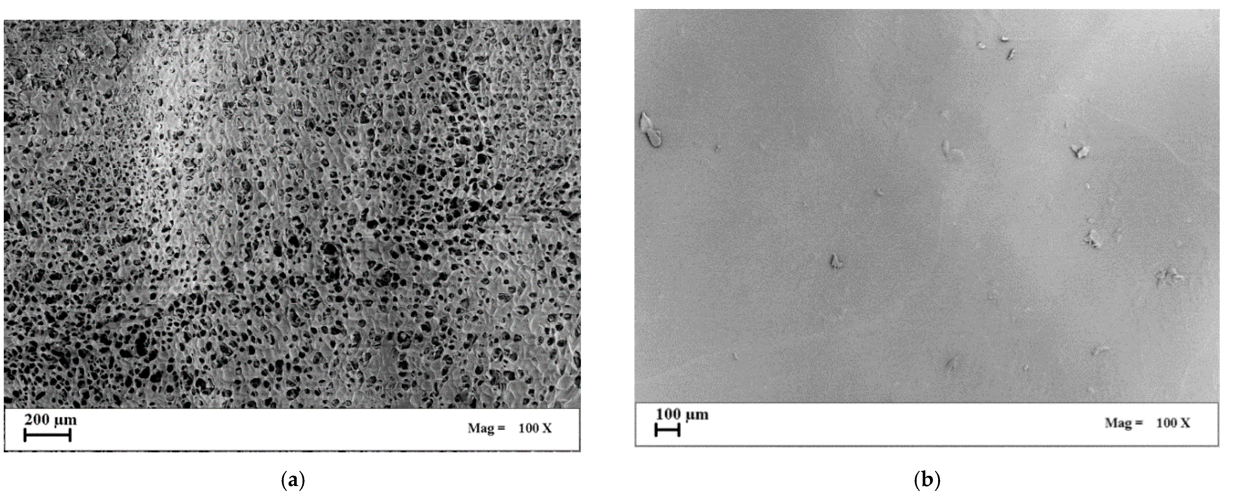 Gels 07 00198 g001 Gels 07 00198 g001