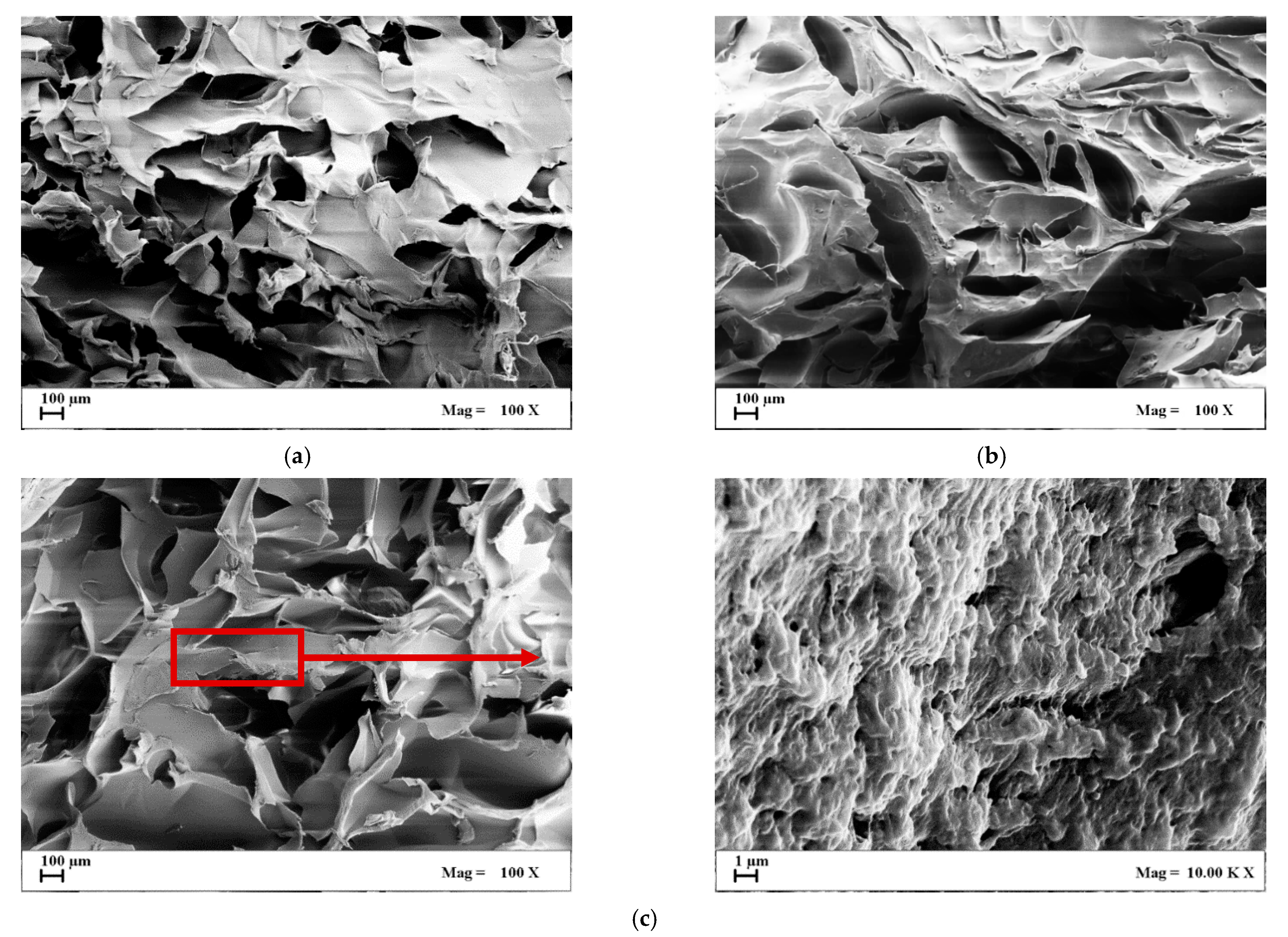 Gels 07 00198 g003 Gels 07 00198 g003