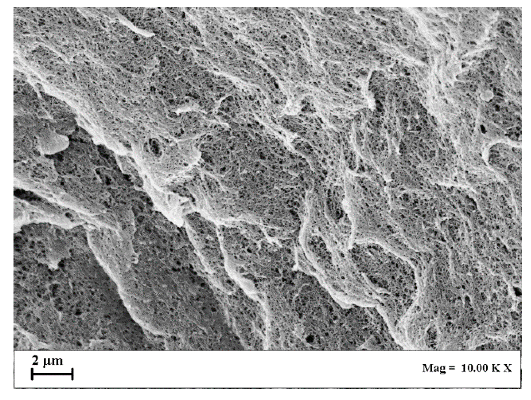 Gels 07 00198 g004 Gels 07 00198 g004