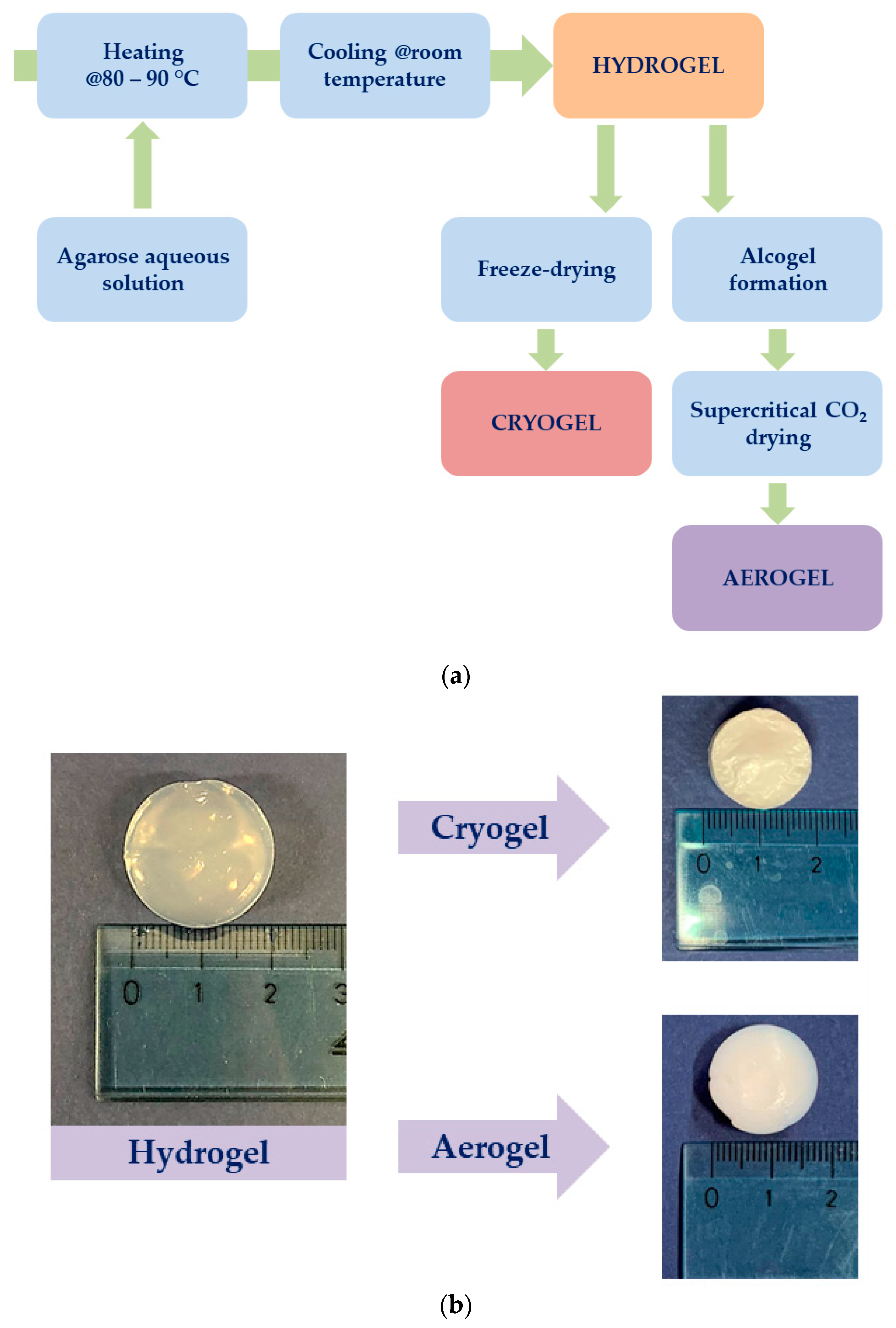 Gels 07 00198 g008 Gels 07 00198 g008