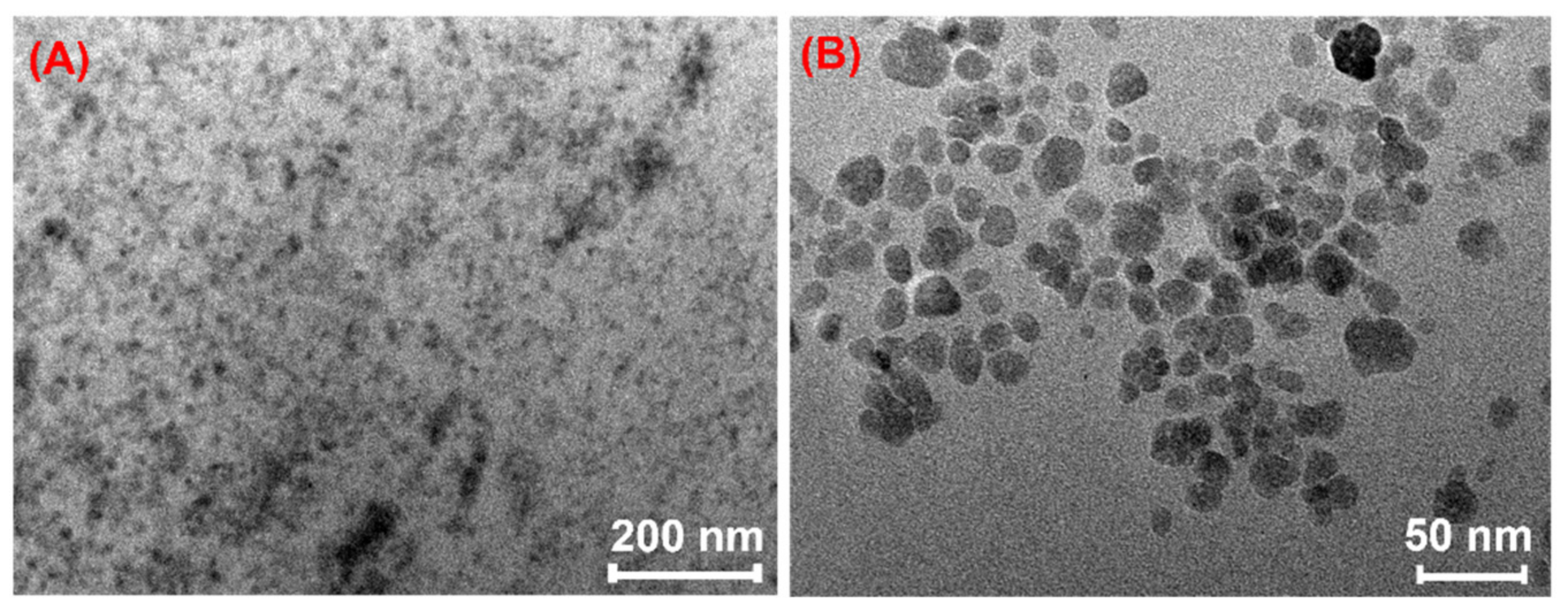 Gels 07 00201 g006 550