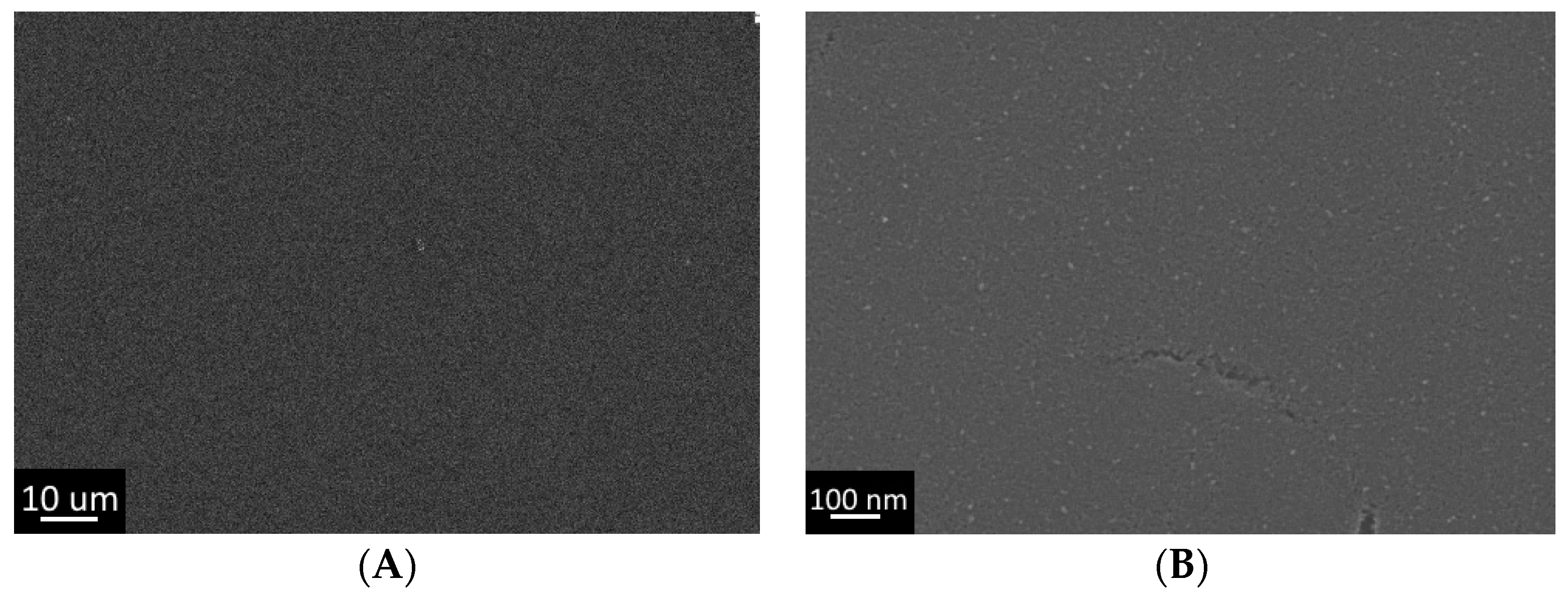 Gels 07 00202 g001 550