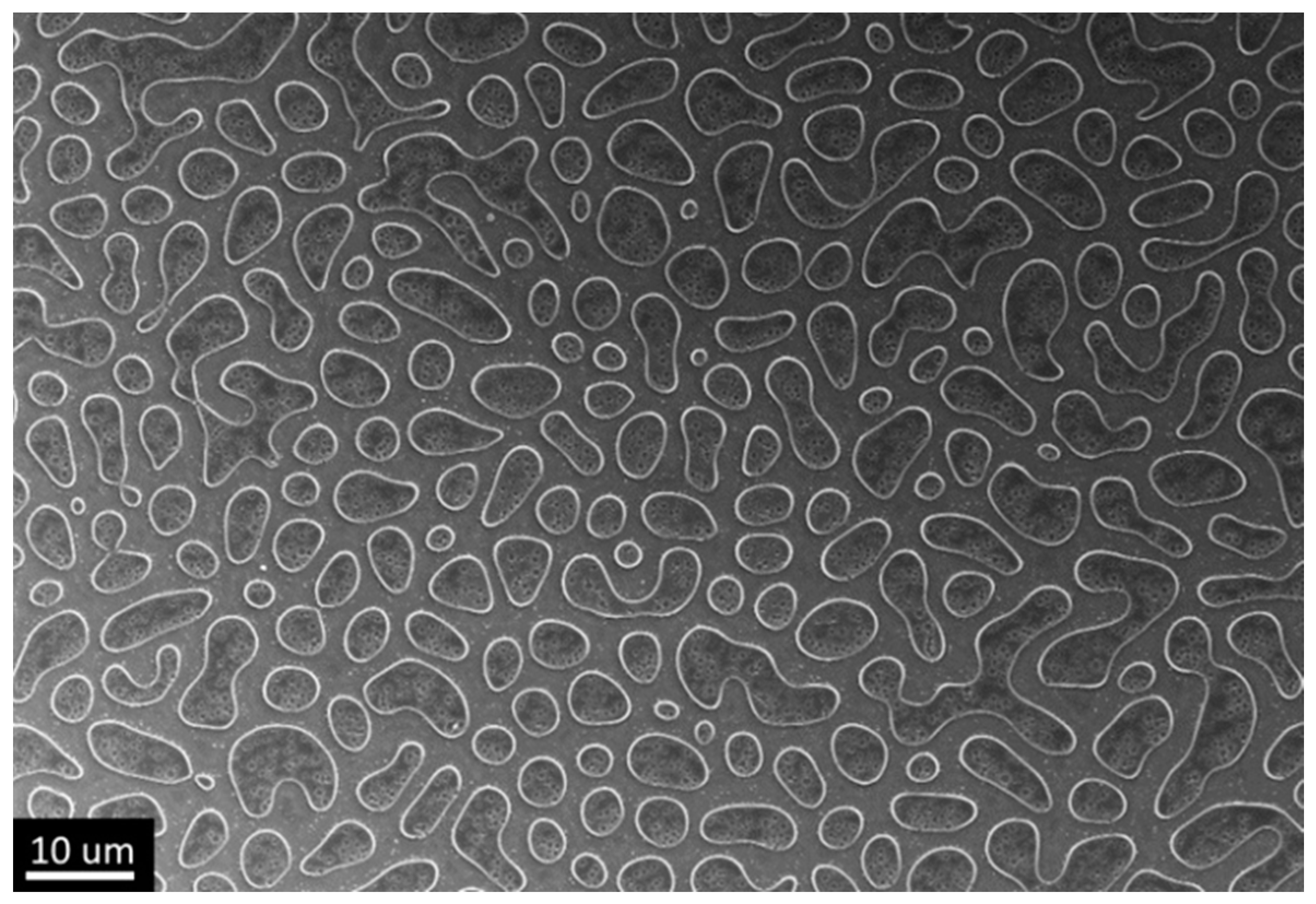 Gels 07 00202 g002 550