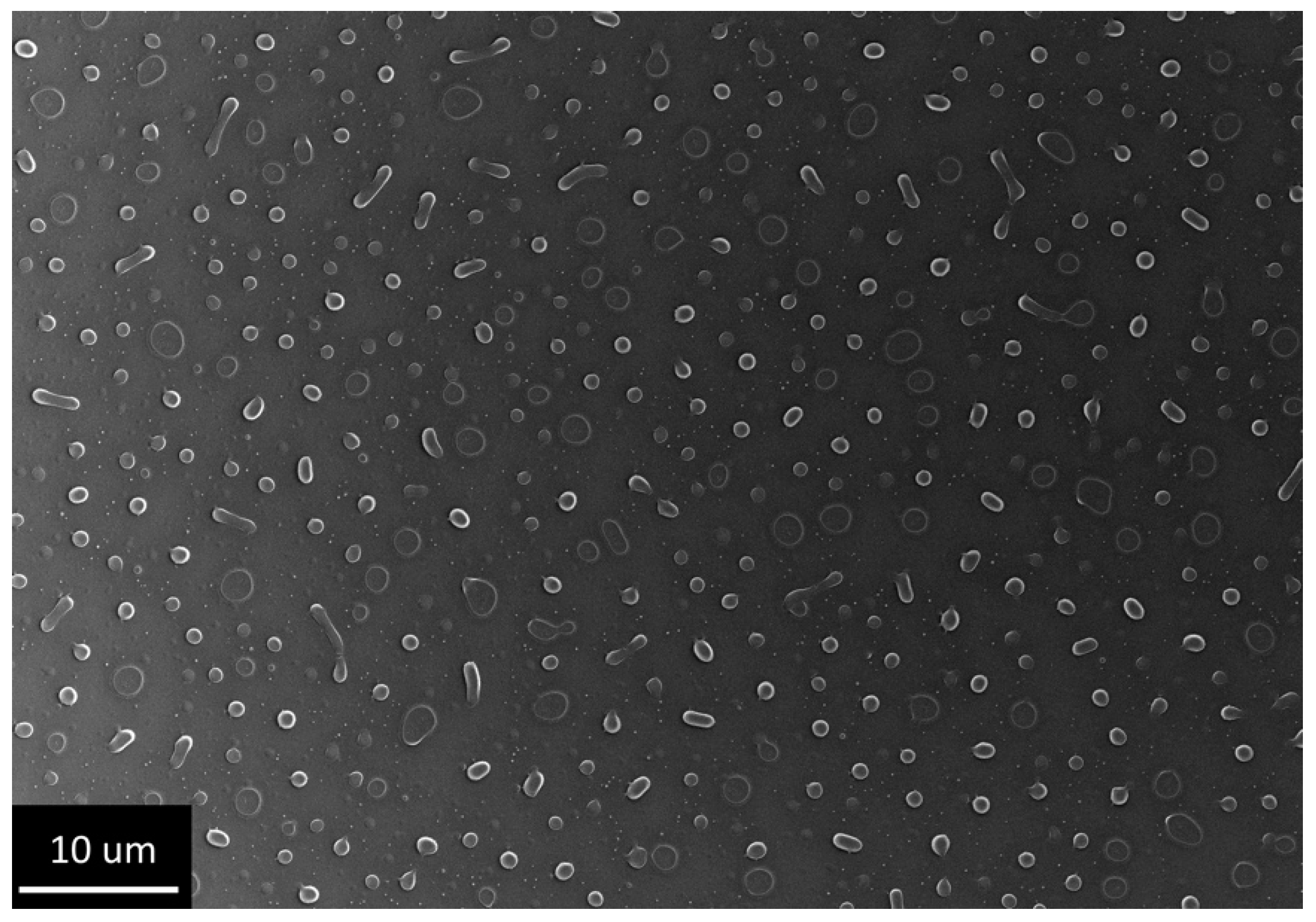 Gels 07 00202 g003 550