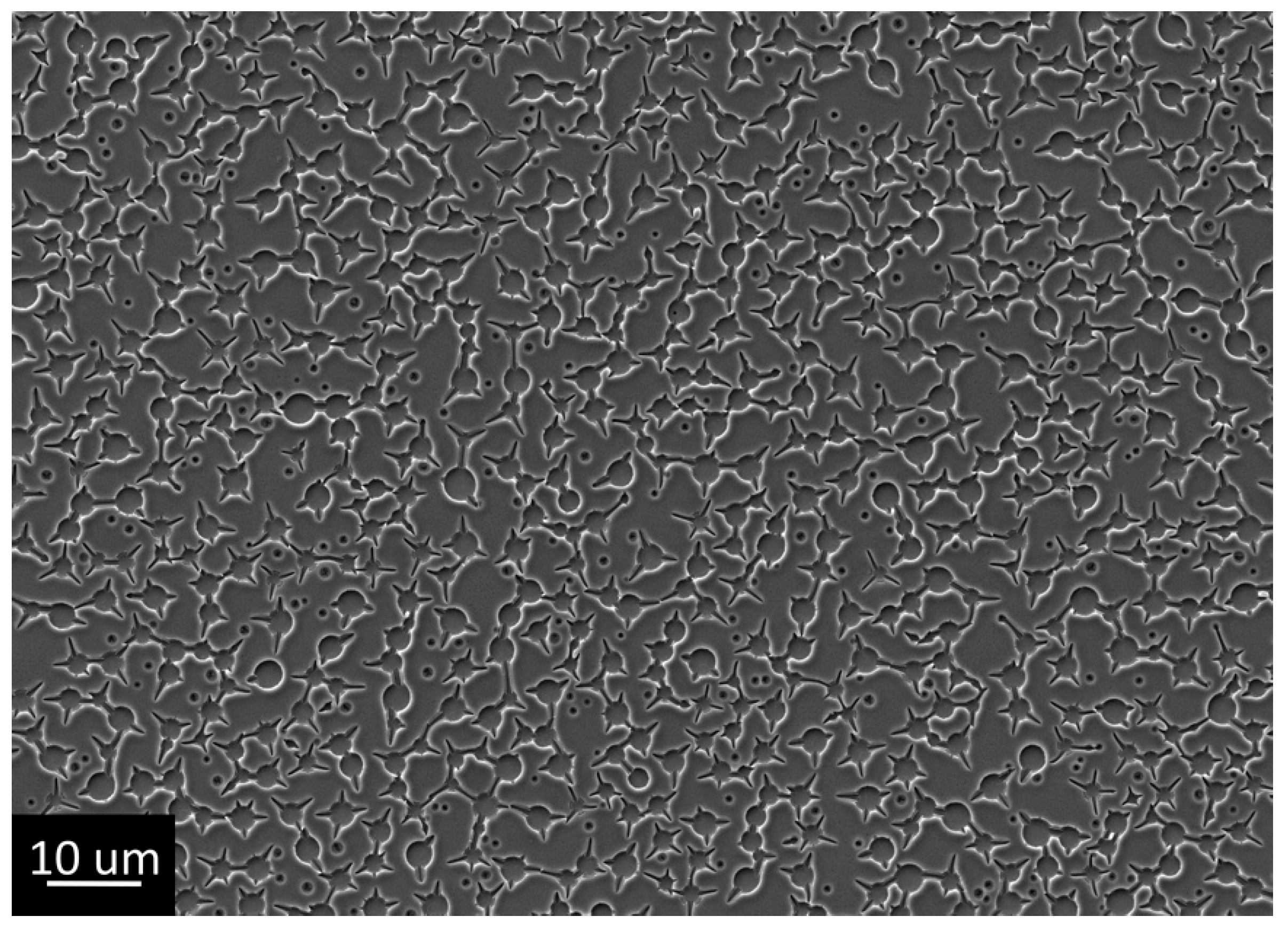 Gels 07 00202 g004 550