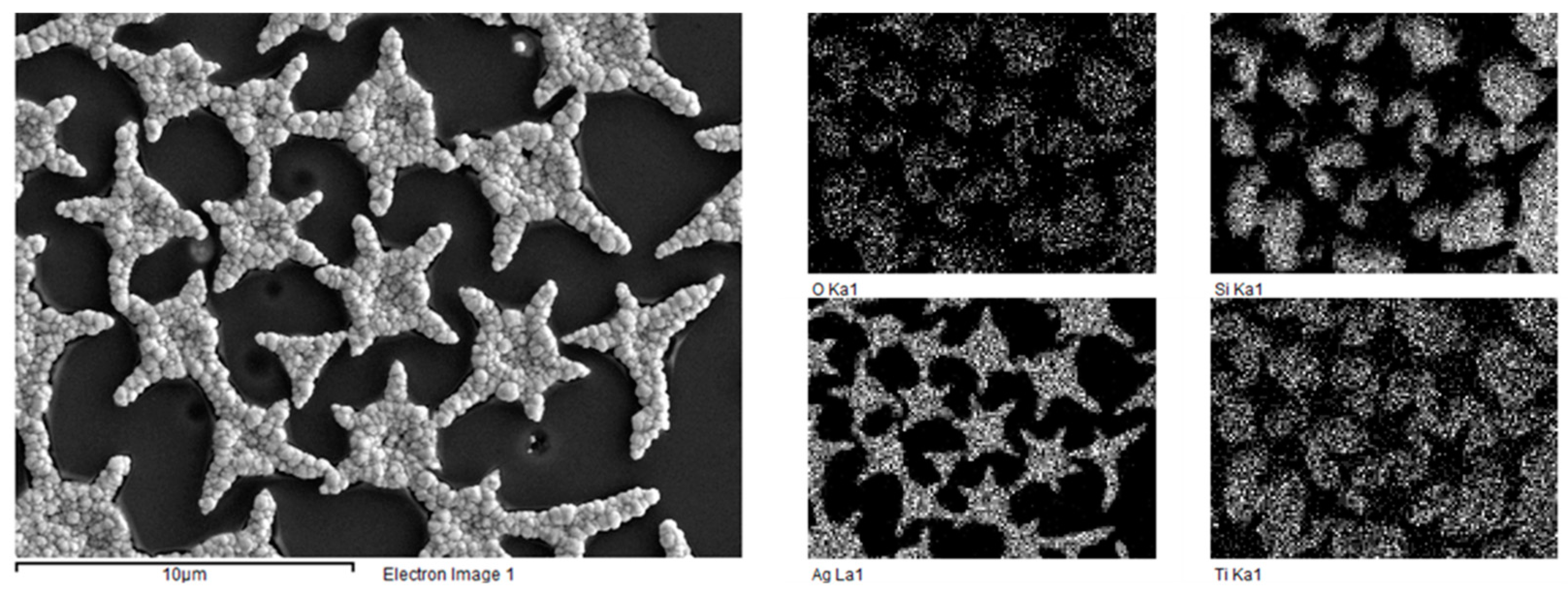 Gels 07 00202 g008 550