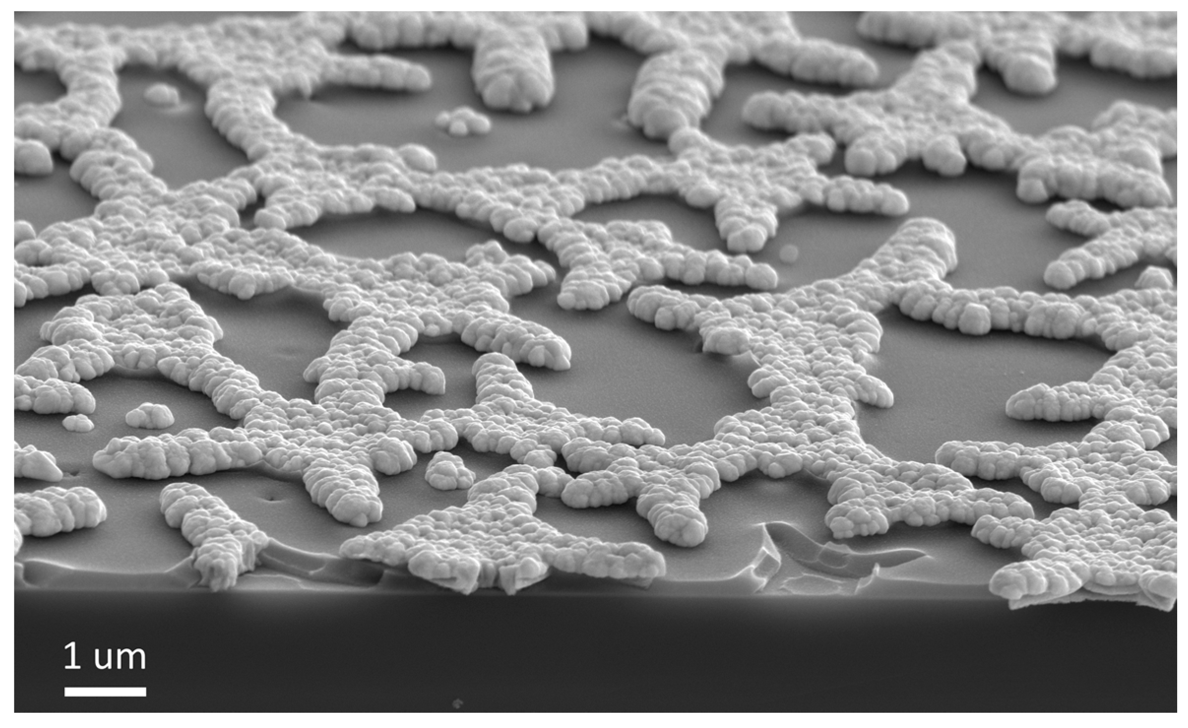 Gels 07 00202 g009 550