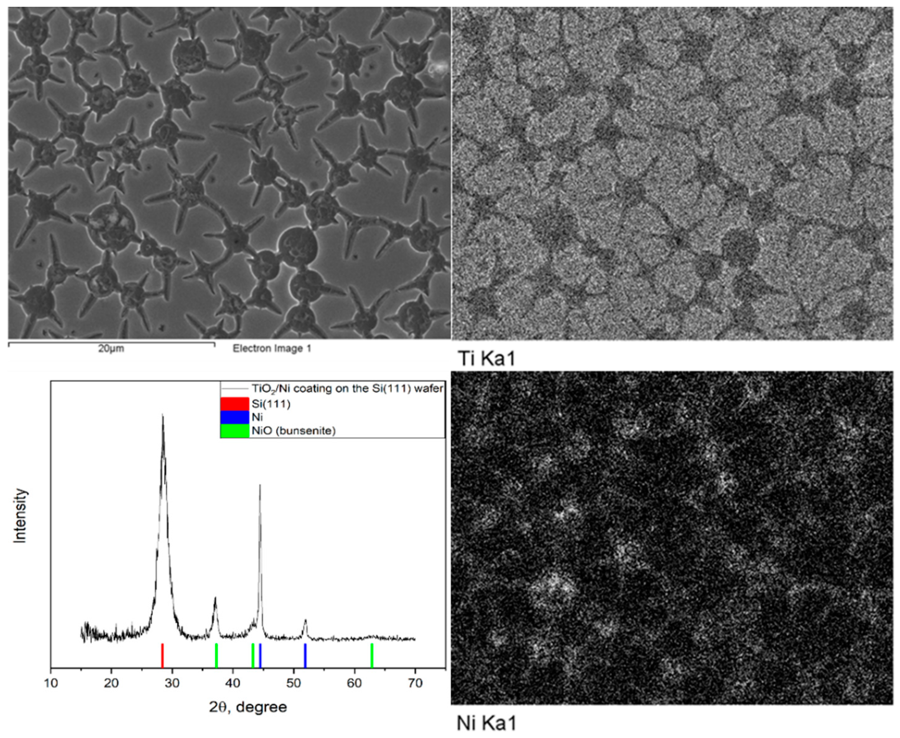 Gels 07 00202 g010 550