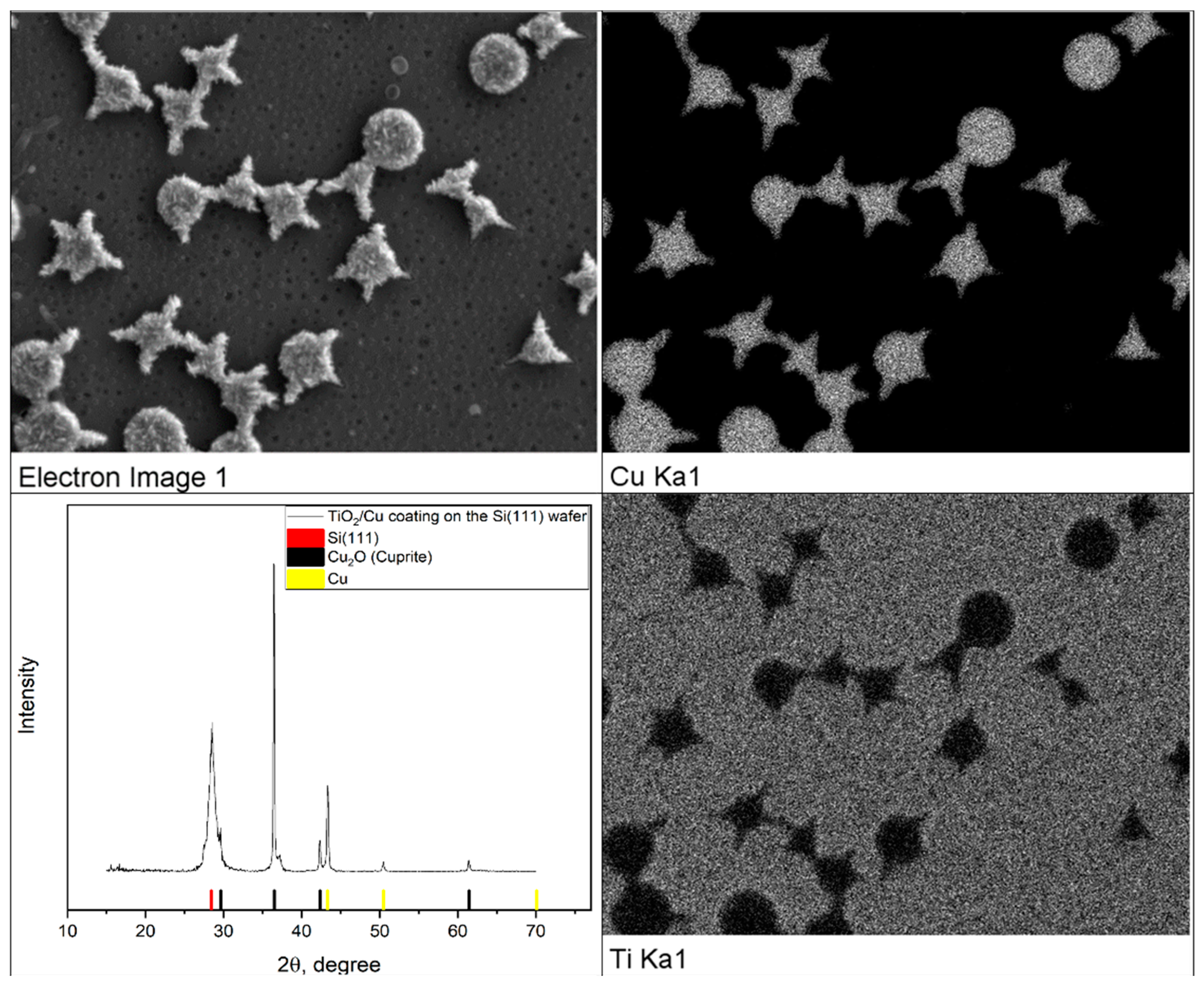 Gels 07 00202 g011 550