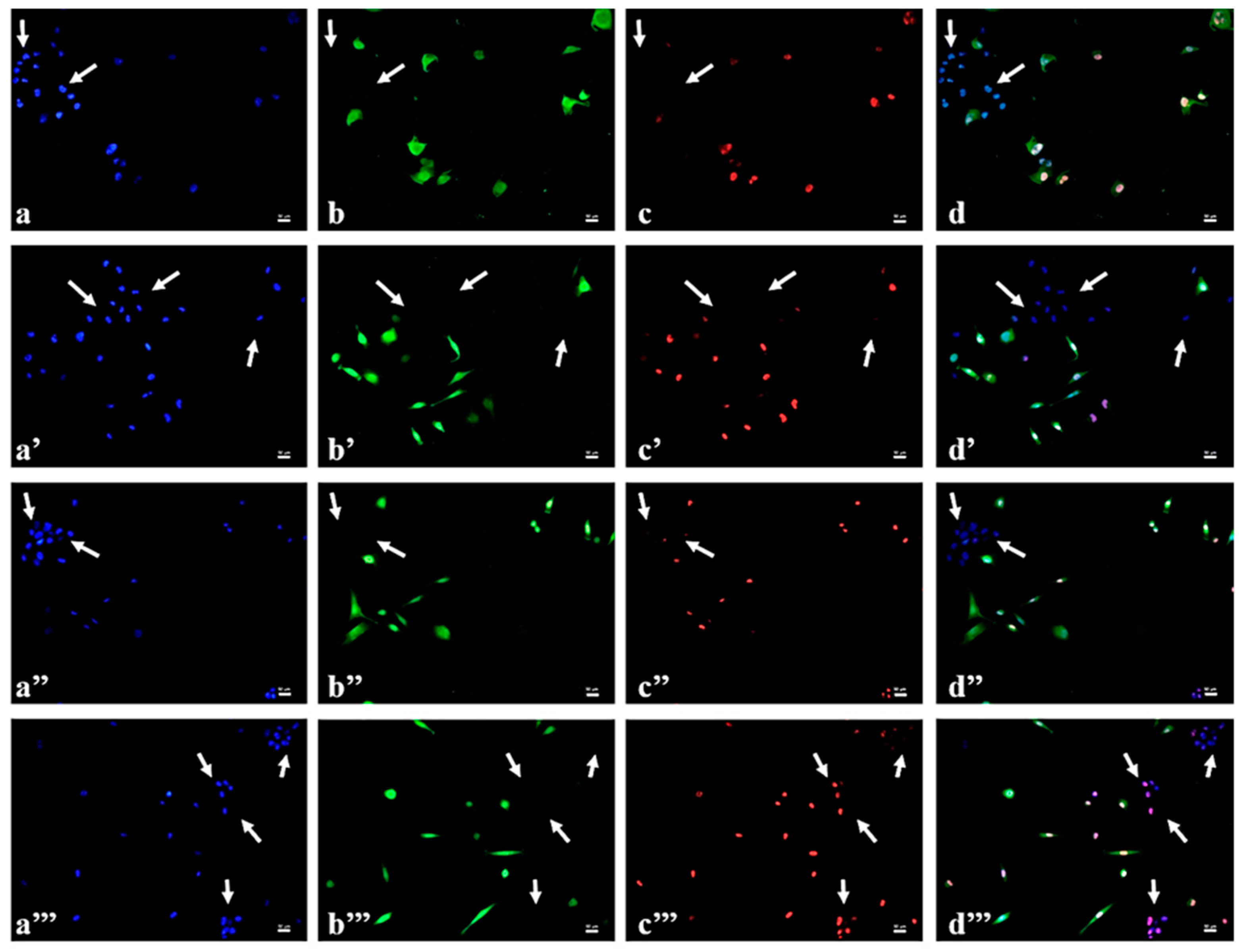 Gels 07 00203 g008 550