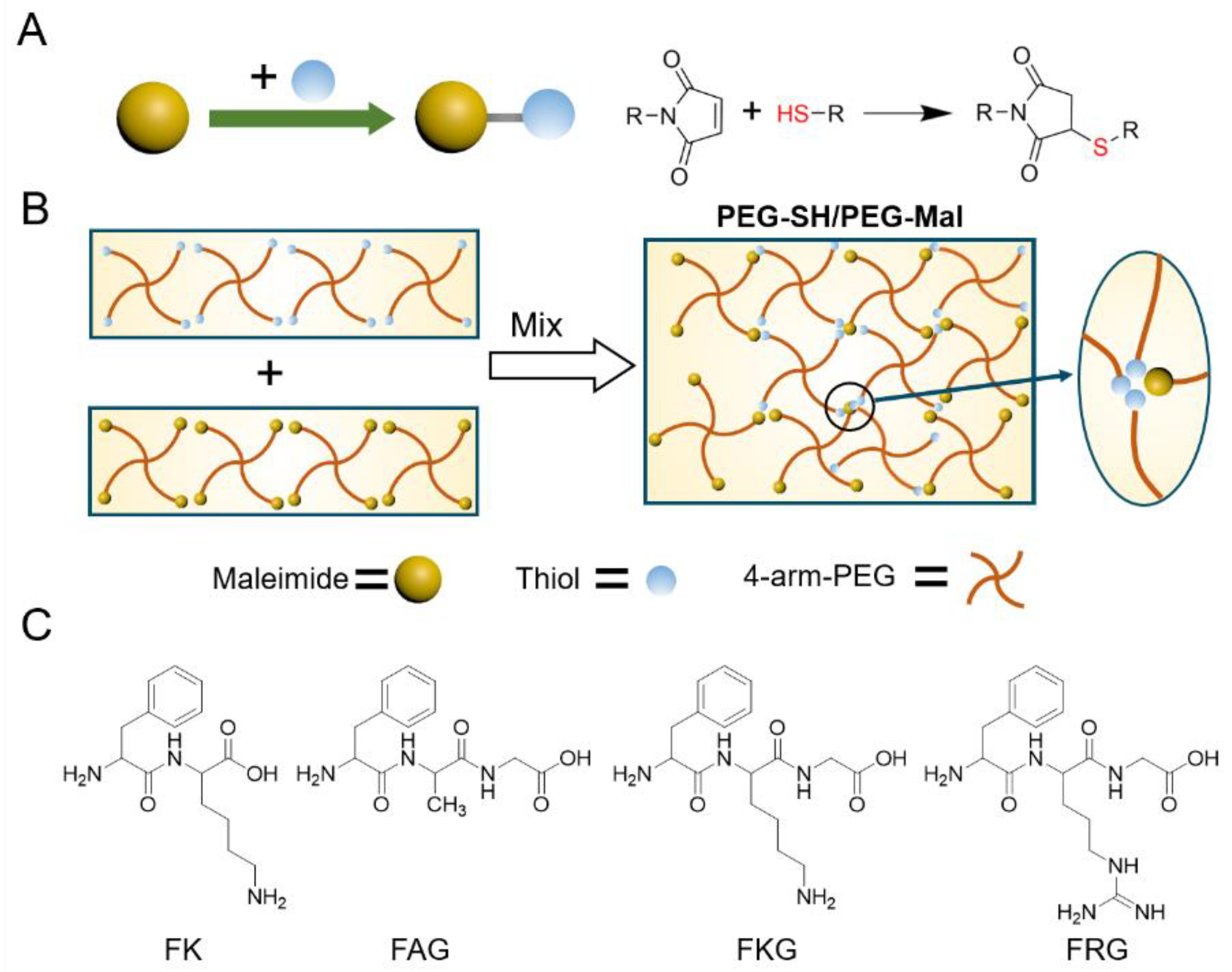 Gels 07 00206 g001 Gels 07 00206 g001