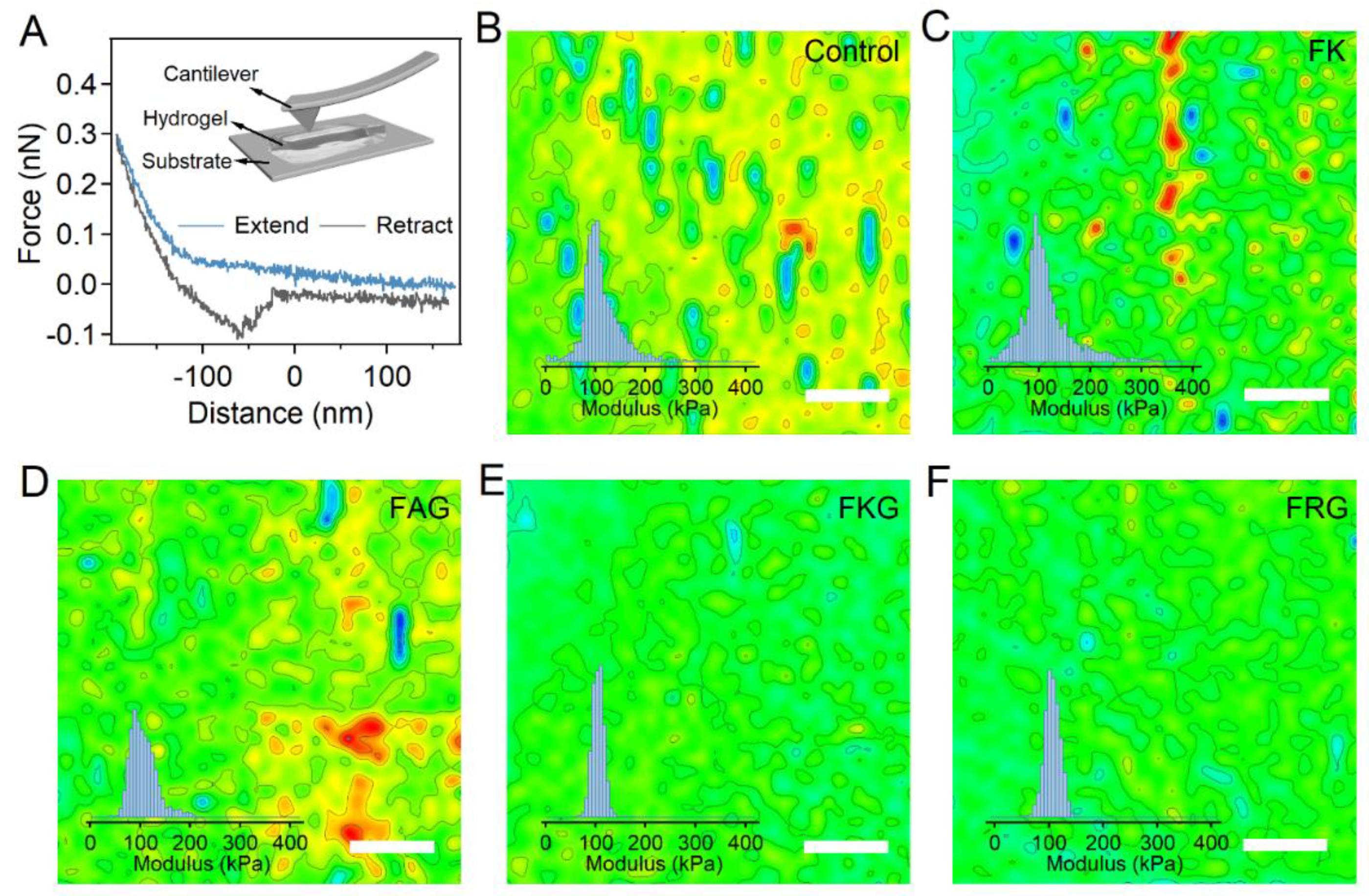 Gels 07 00206 g003 Gels 07 00206 g003