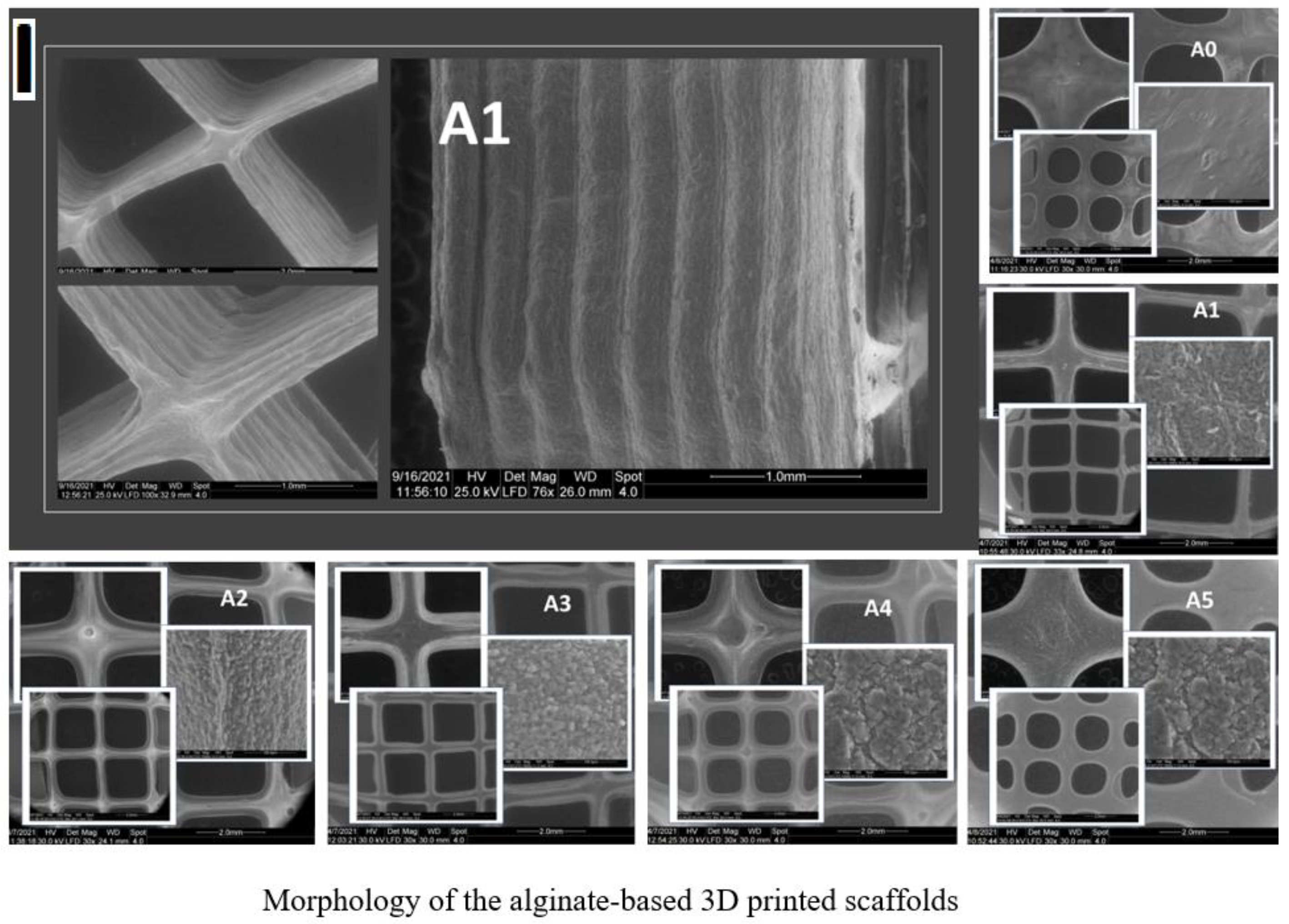 Gels 07 00211 g008a 550