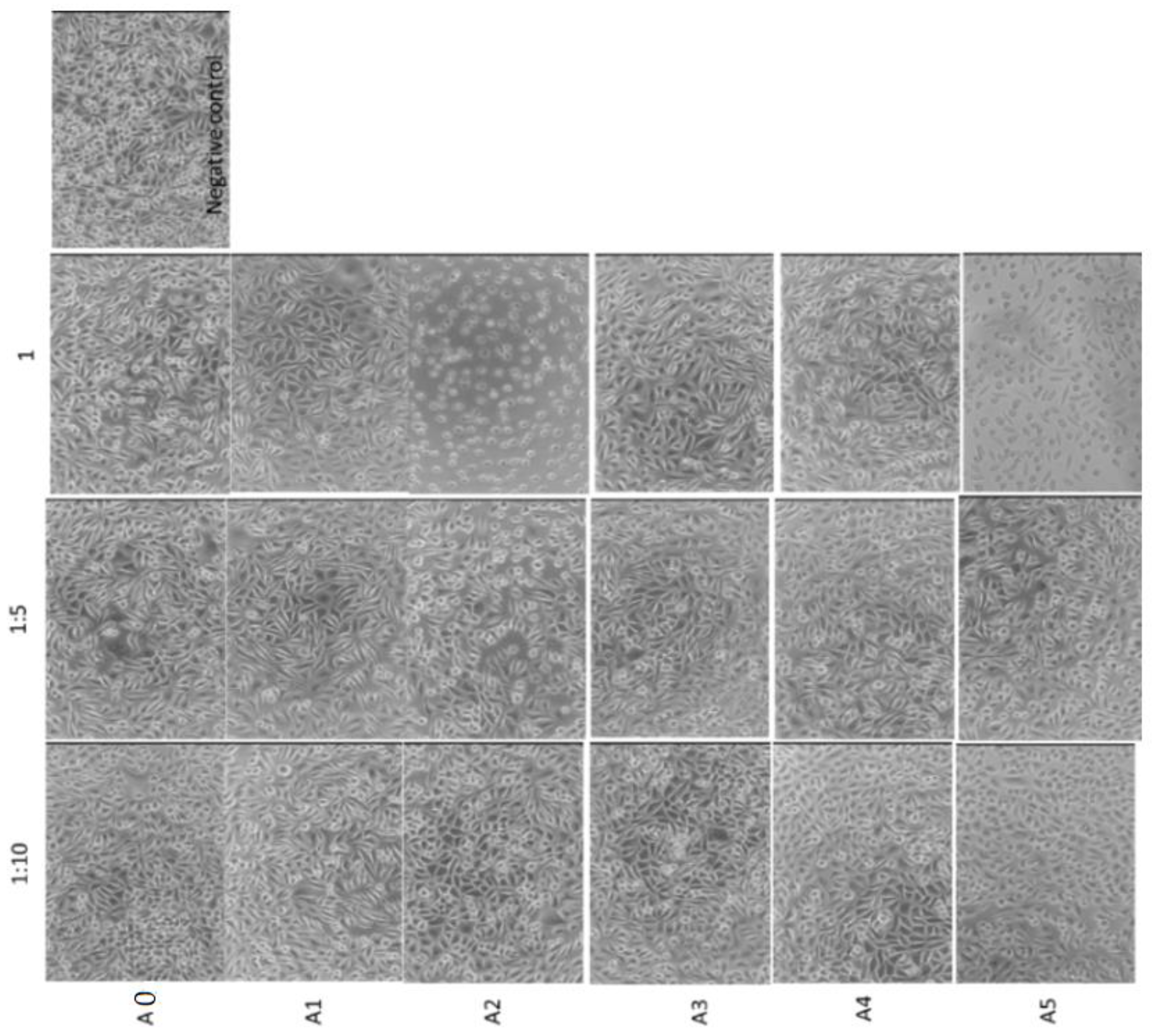 Gels 07 00211 g011 550