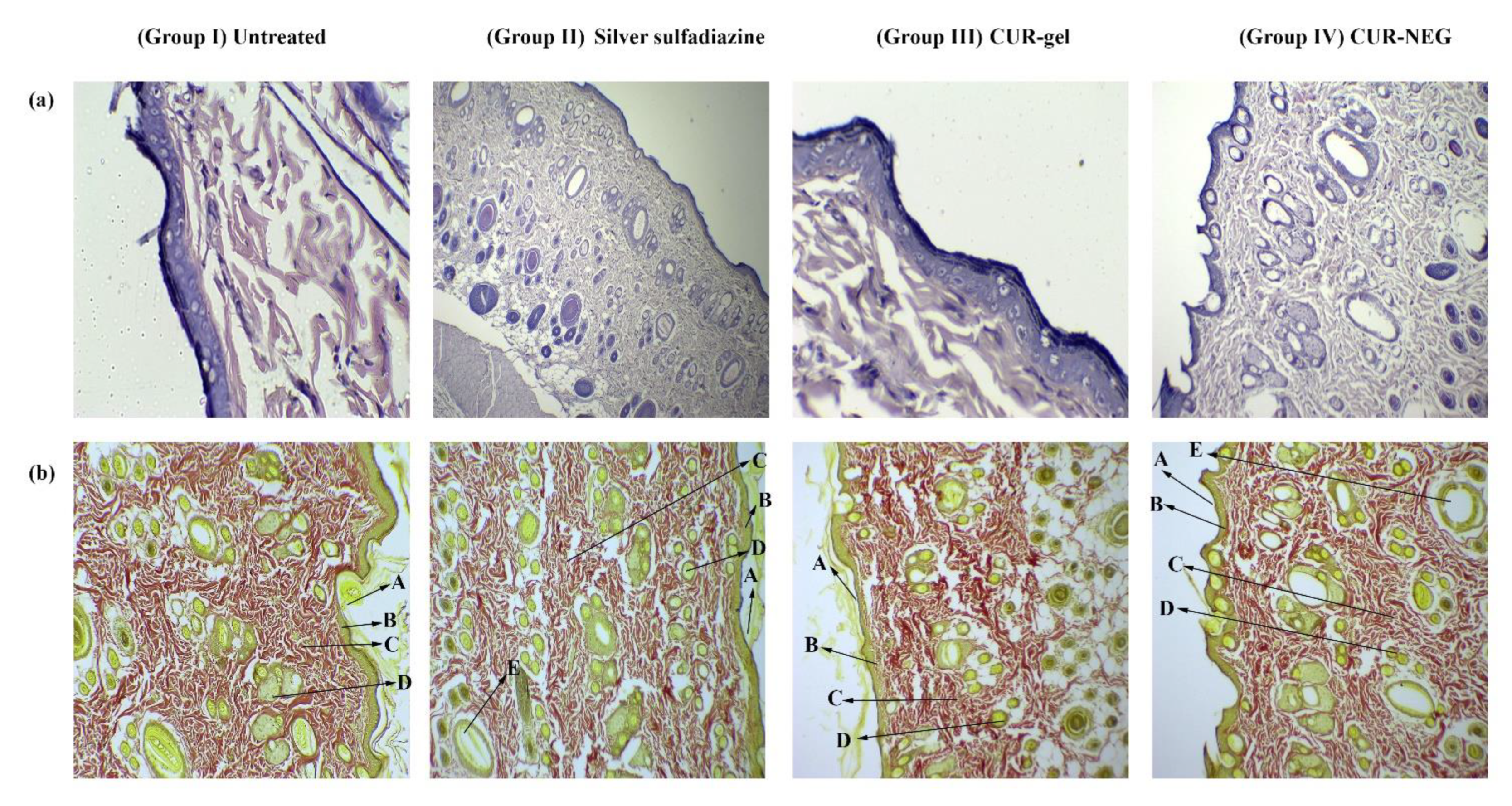 Gels 07 00213 g005 550