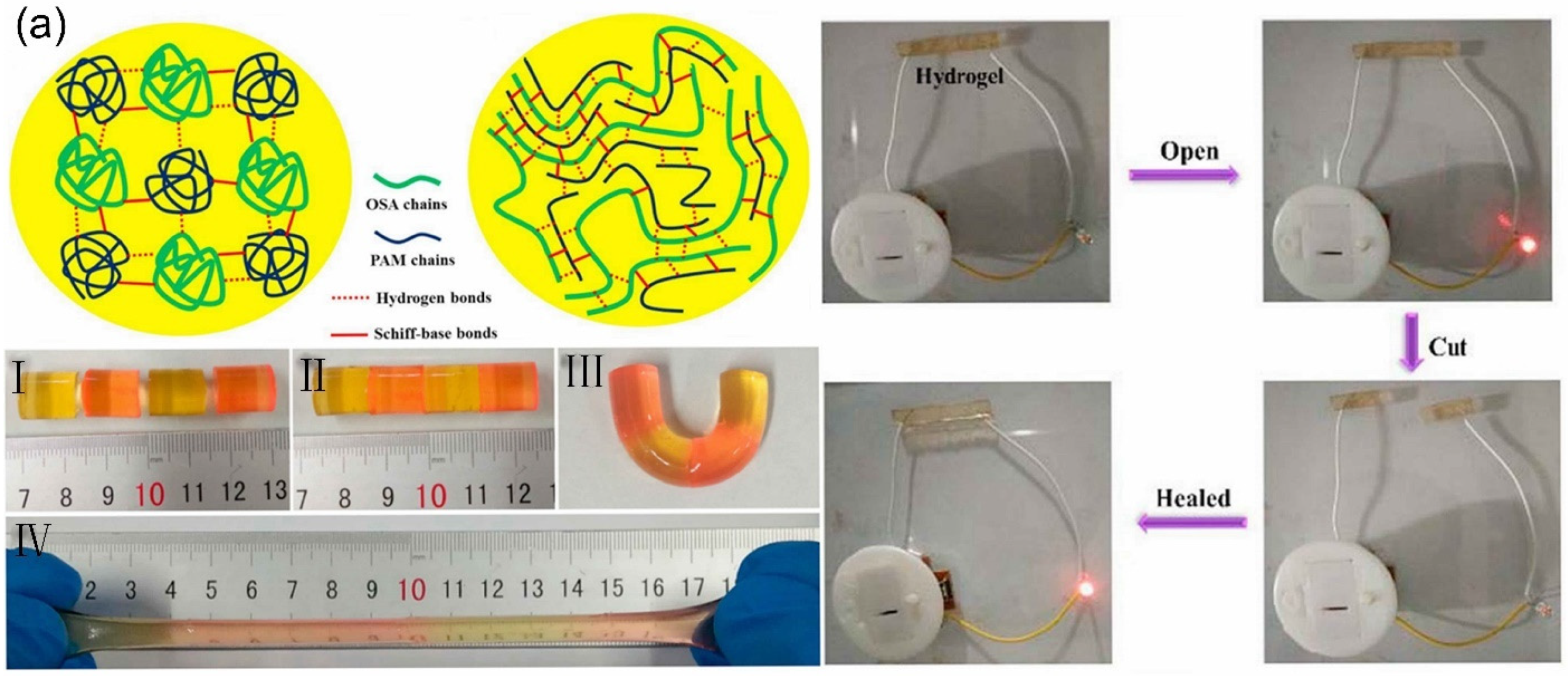 Gels 07 00216 g003a 550
