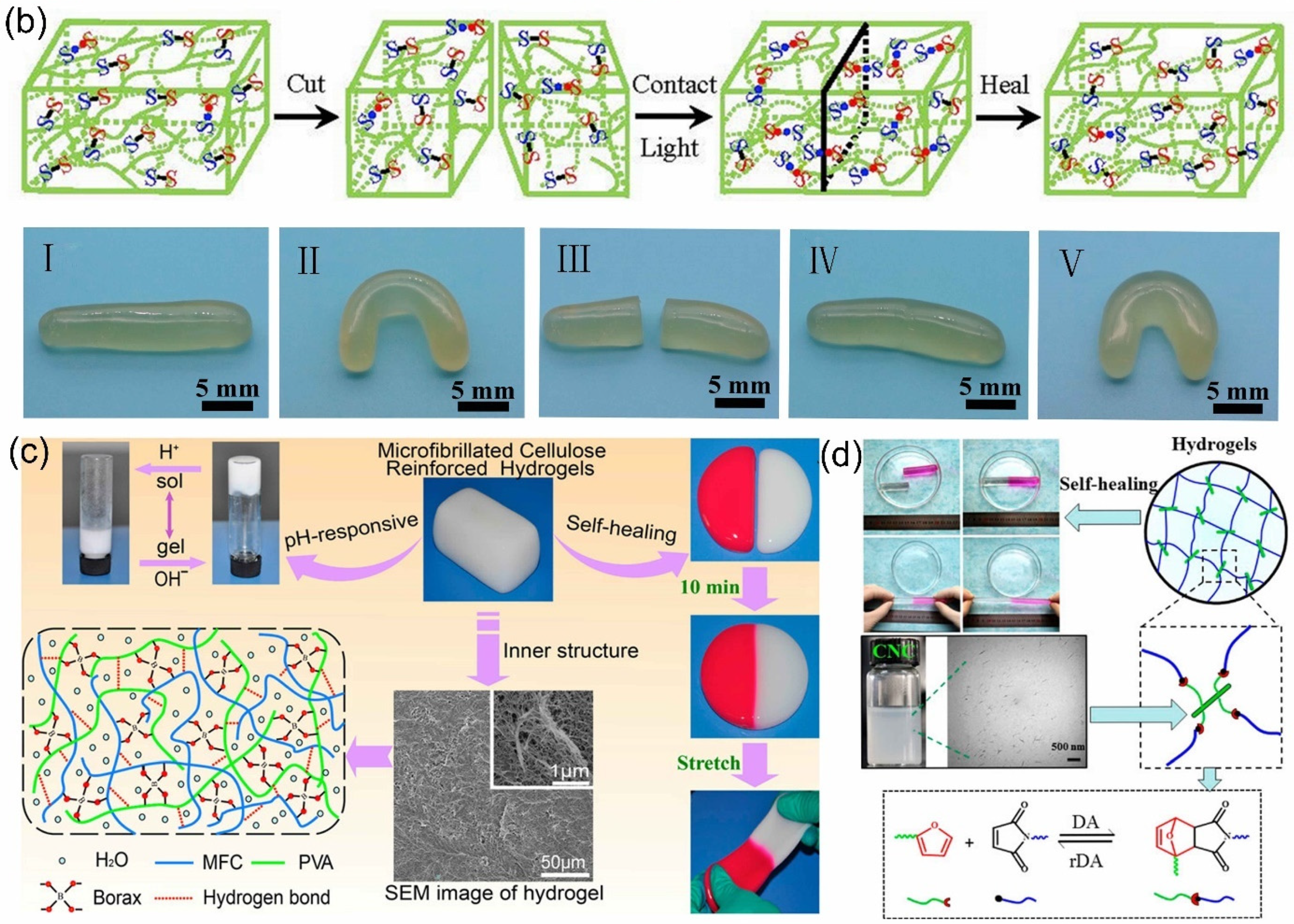 Gels 07 00216 g003b 550