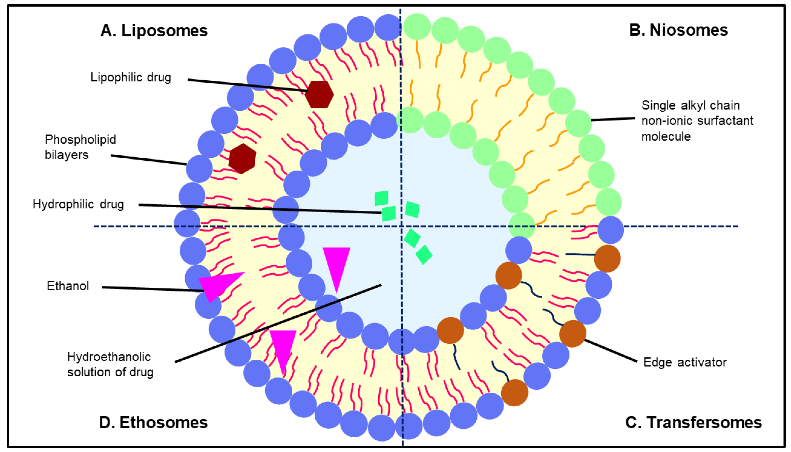 Gels 07 00218 g003 550