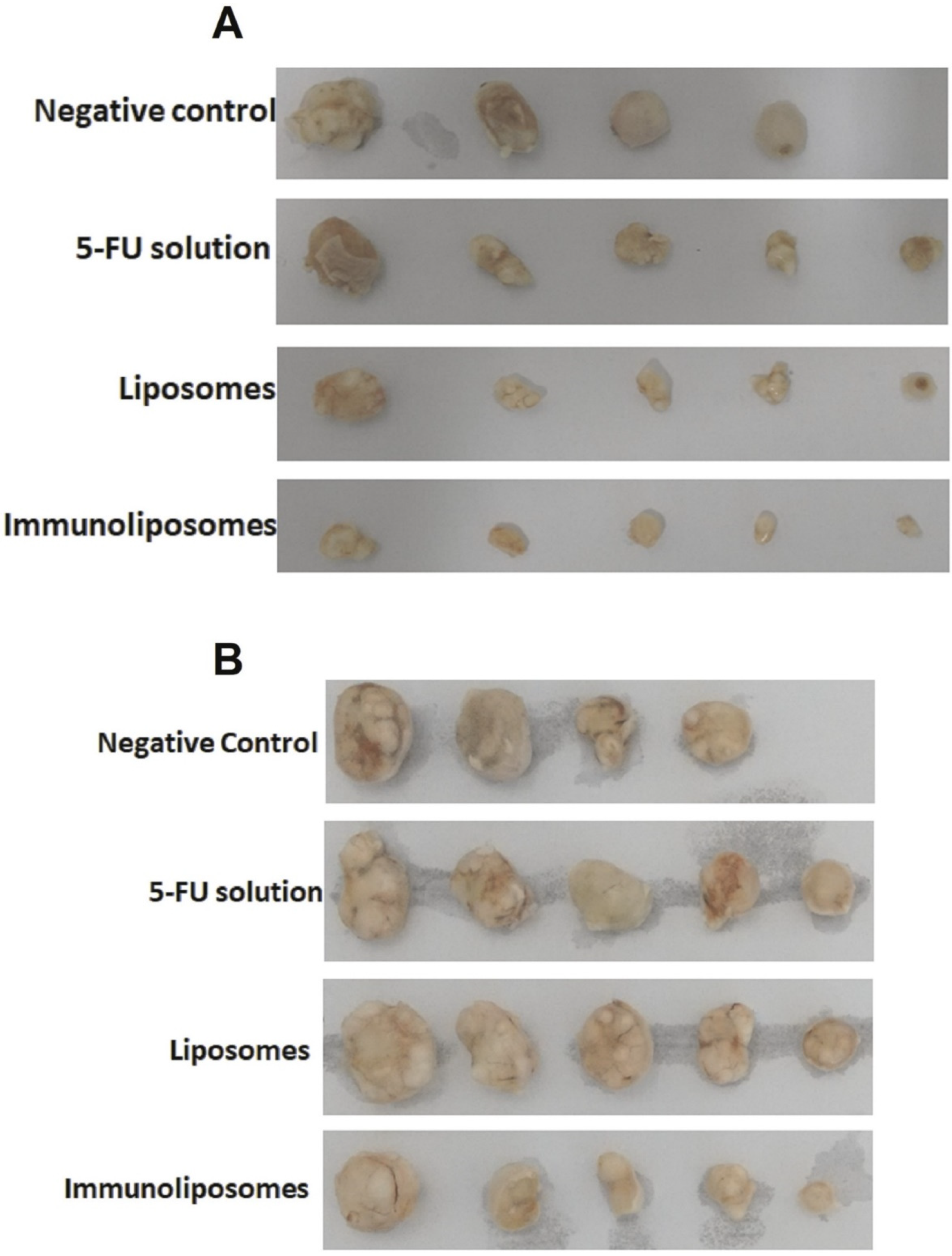Gels 07 00218 g004 550