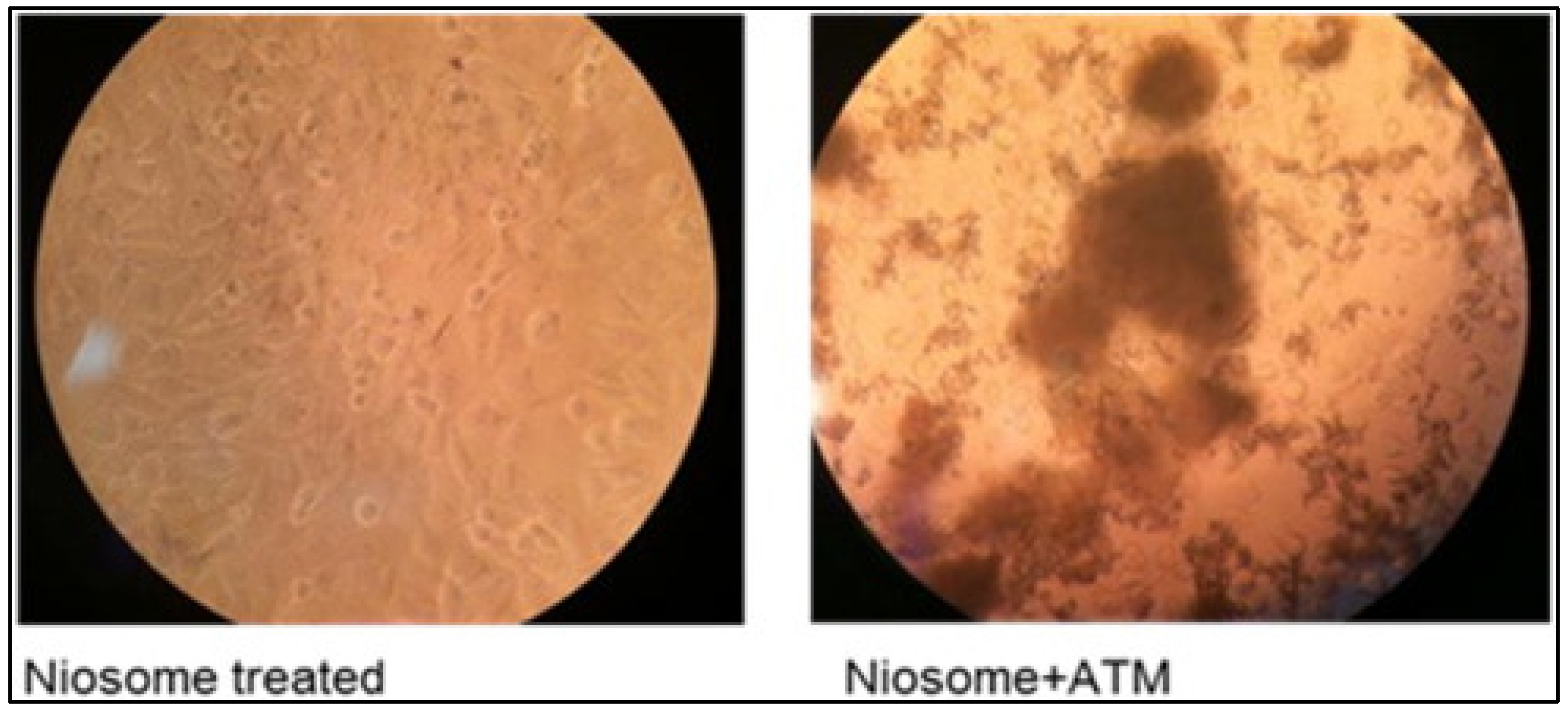 Gels 07 00218 g005 550