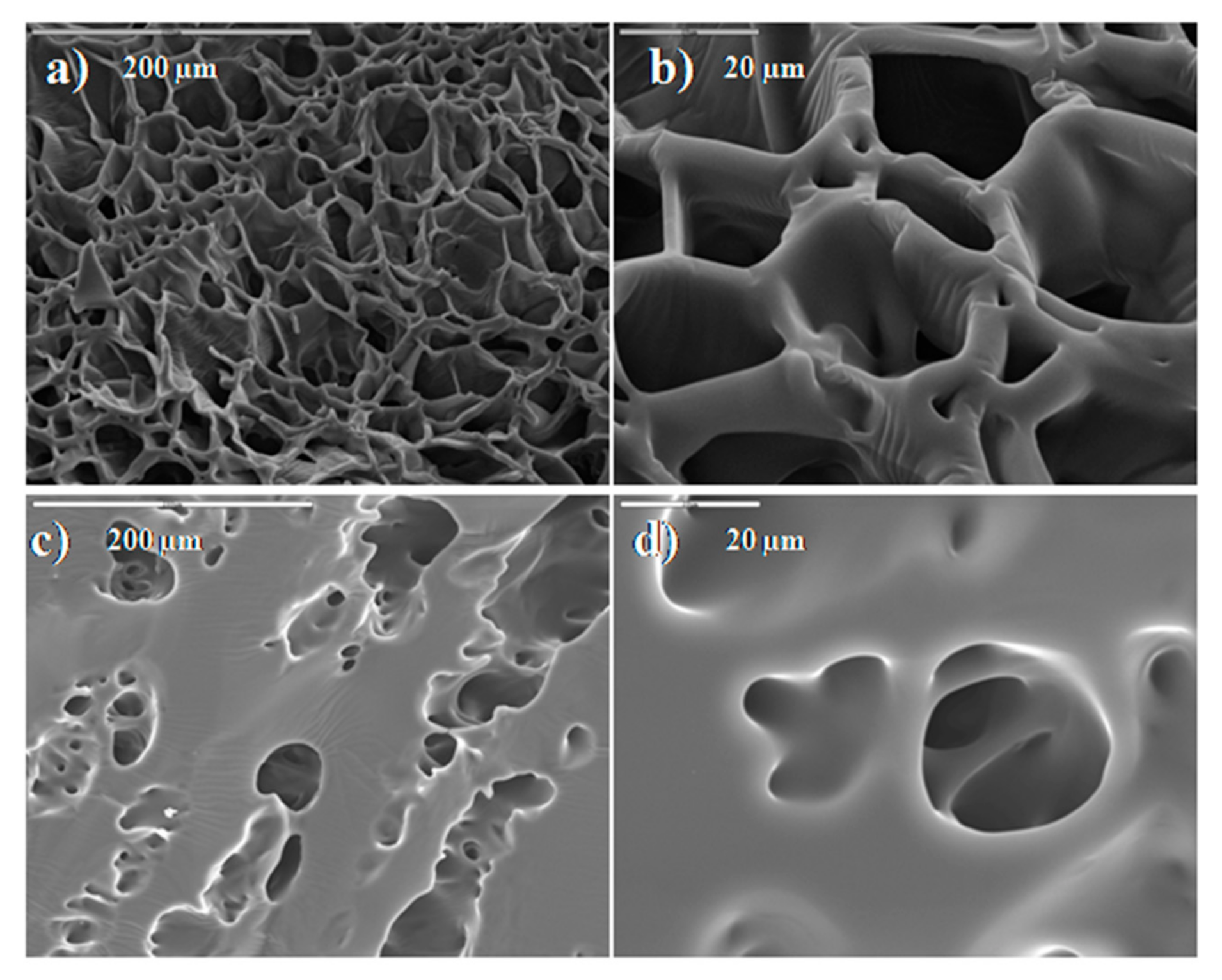 Gels 07 00225 g004 550