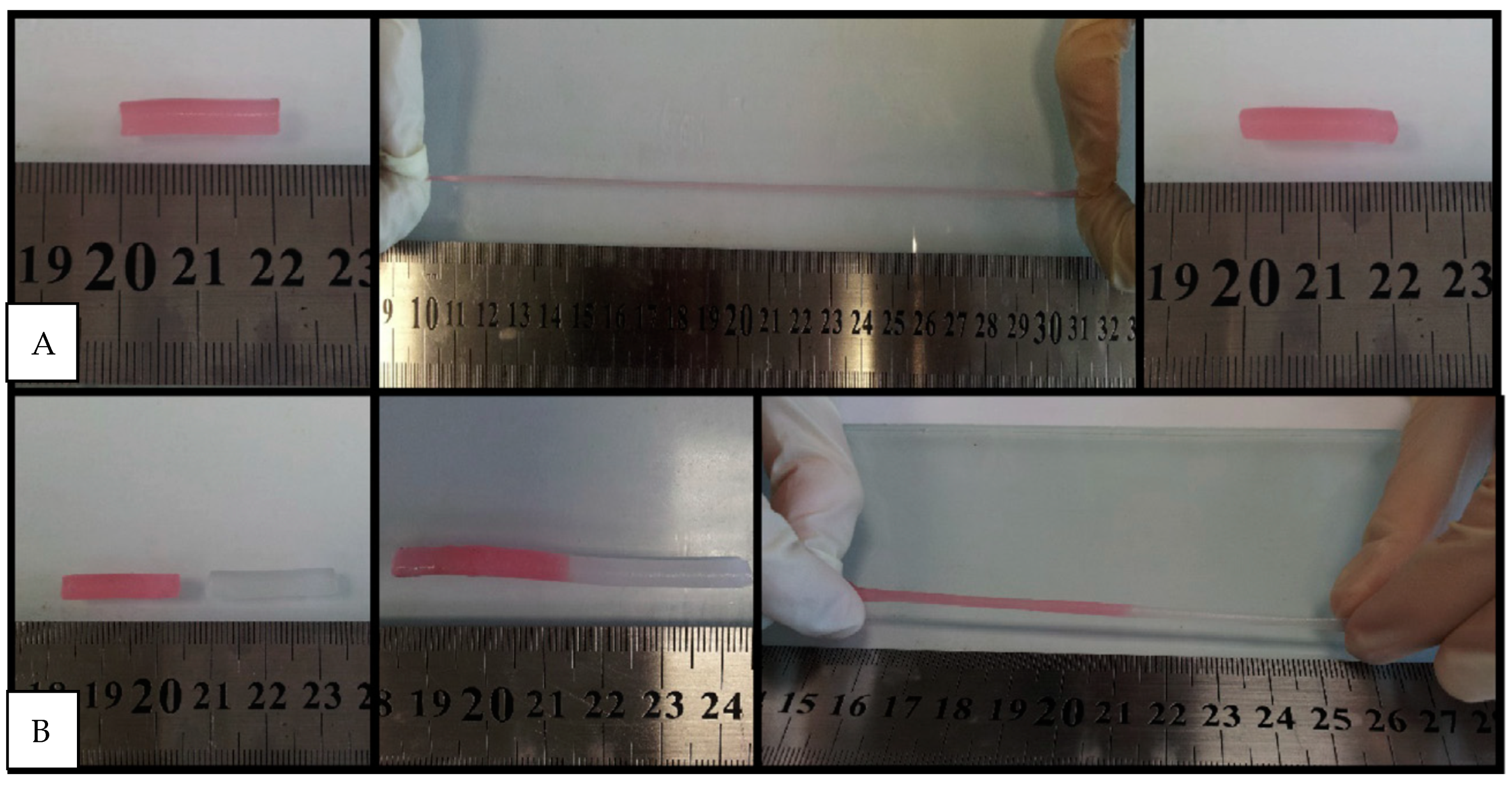 Gels 07 00234 g004