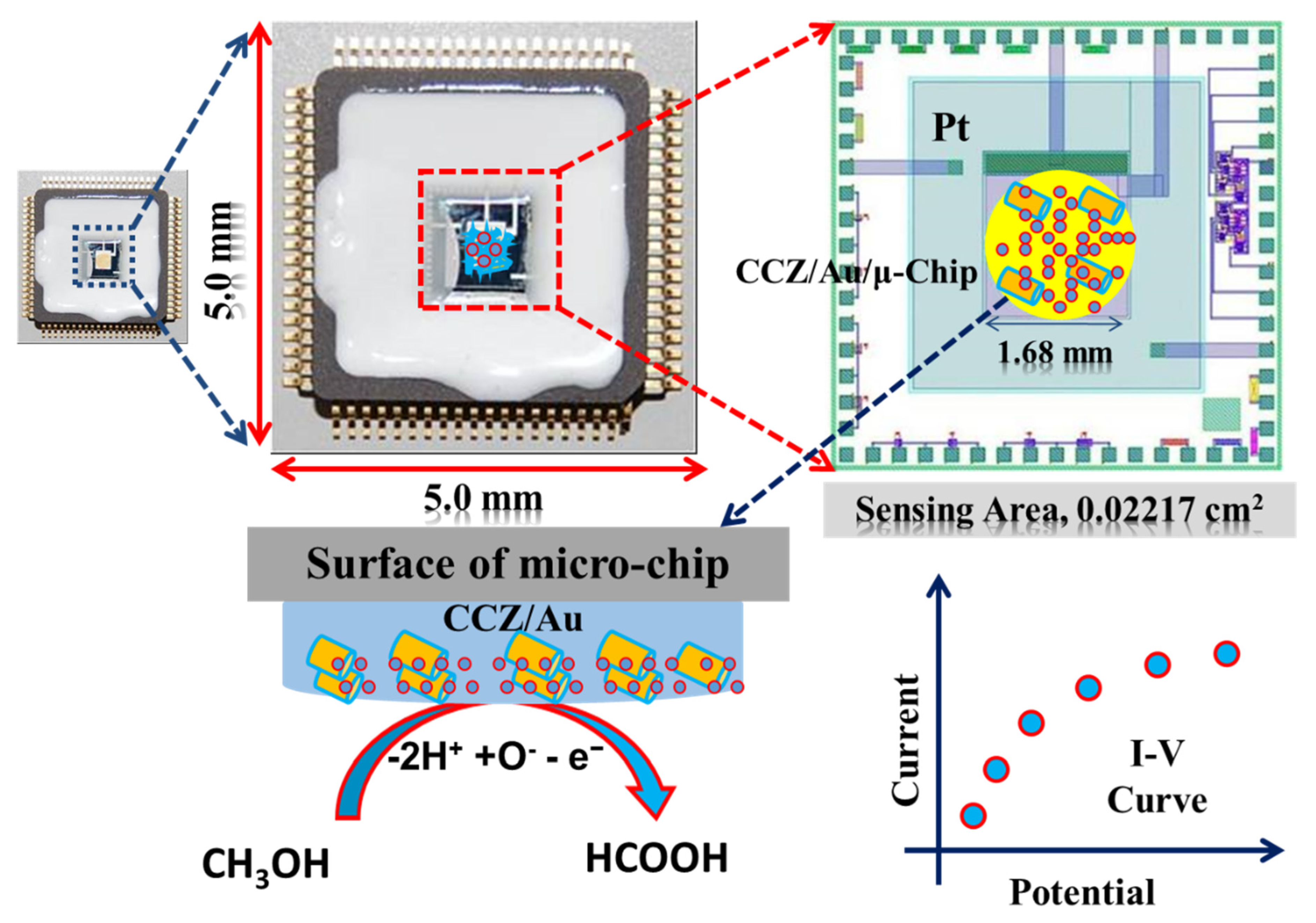 Gels 07 00235 sch001 550