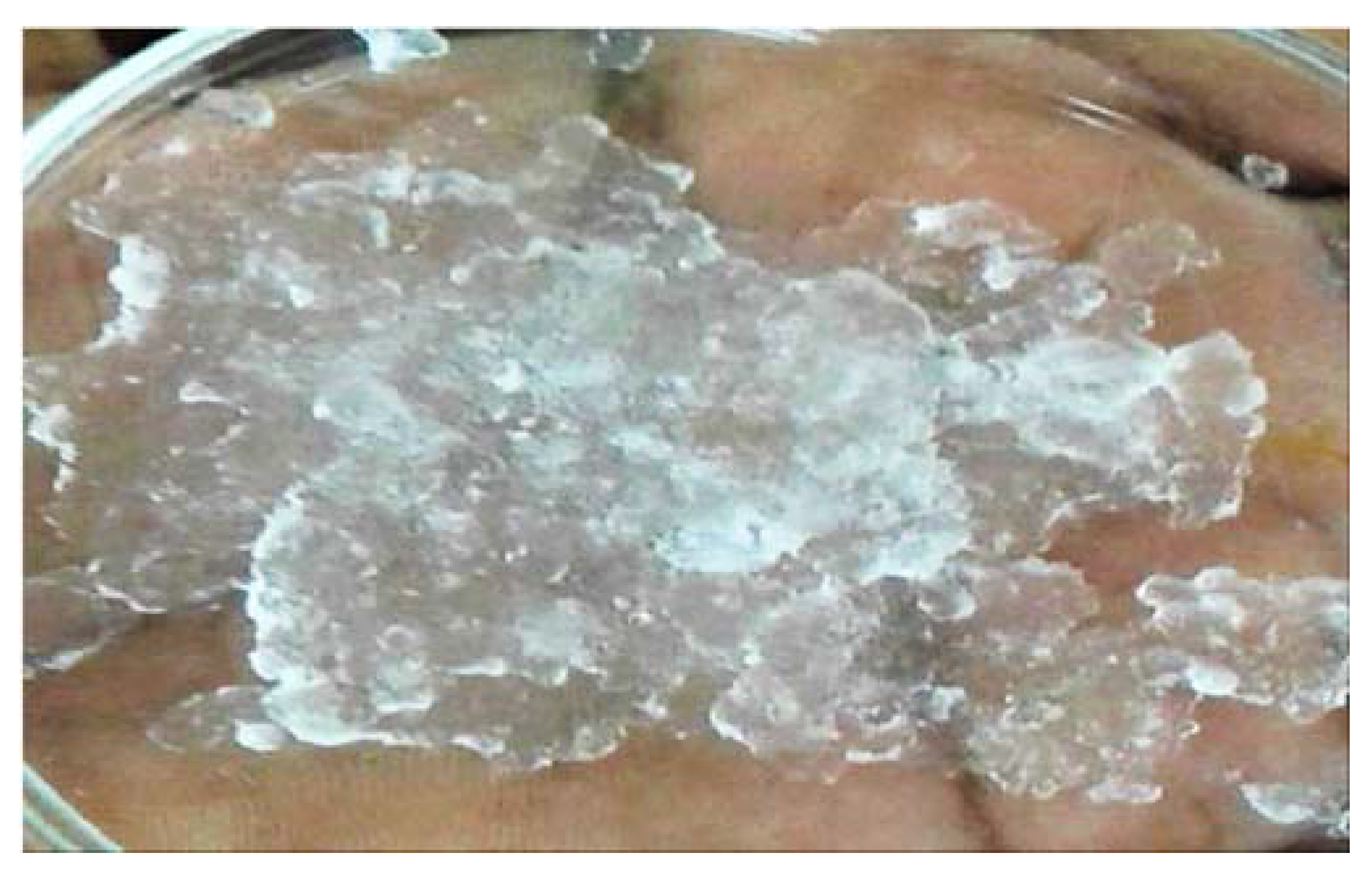 Gels 07 00236 g003 550