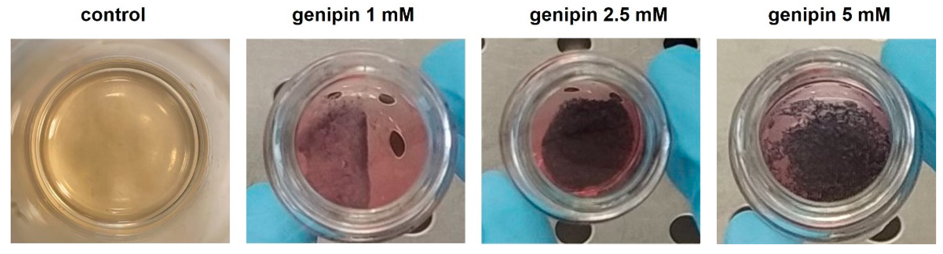 Gels 07 00238 g002 550