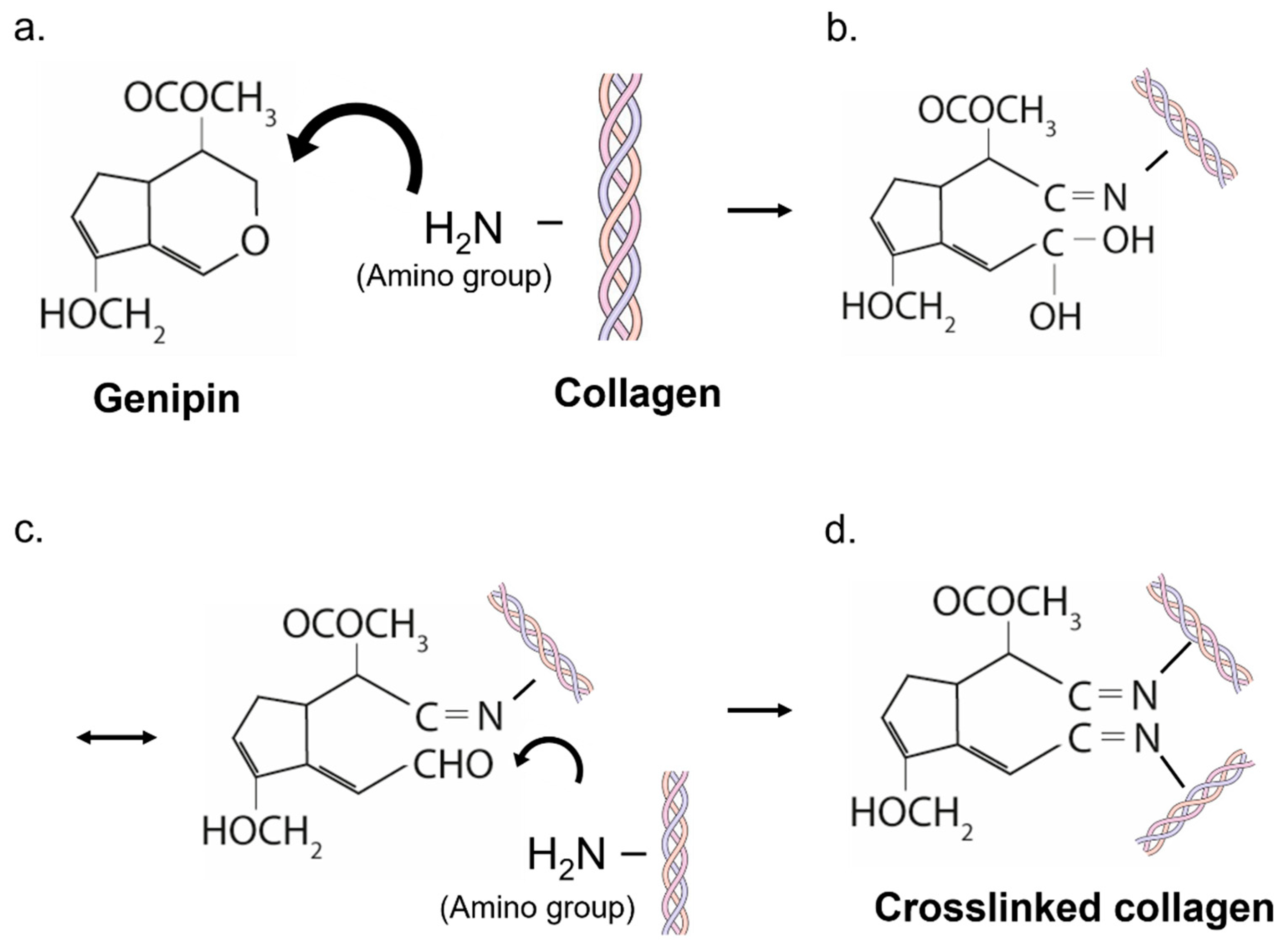 Gels 07 00238 g003 550