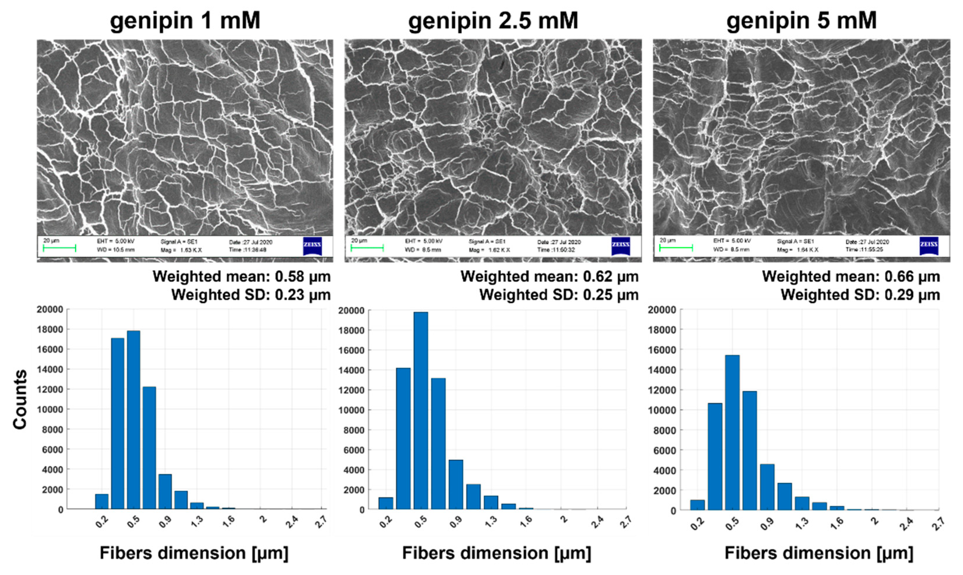 Gels 07 00238 g004 550
