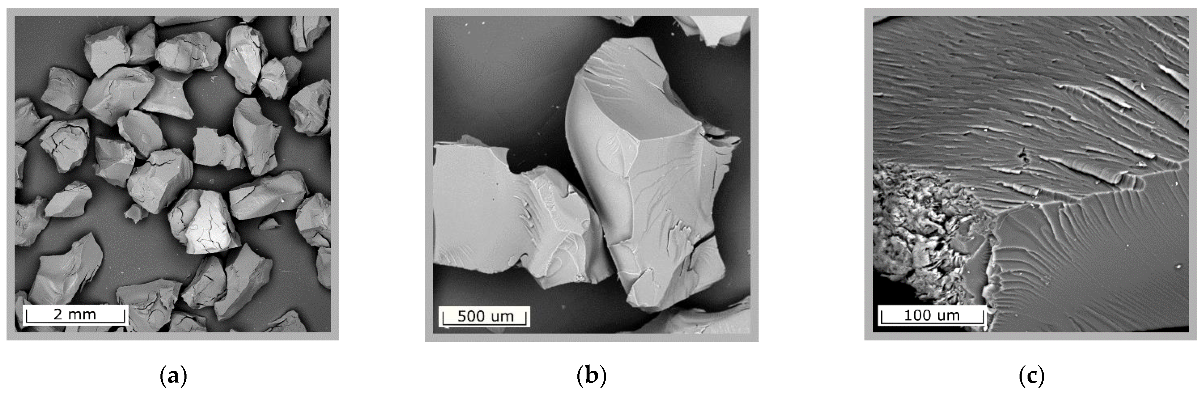 Gels 07 00239 g001 550