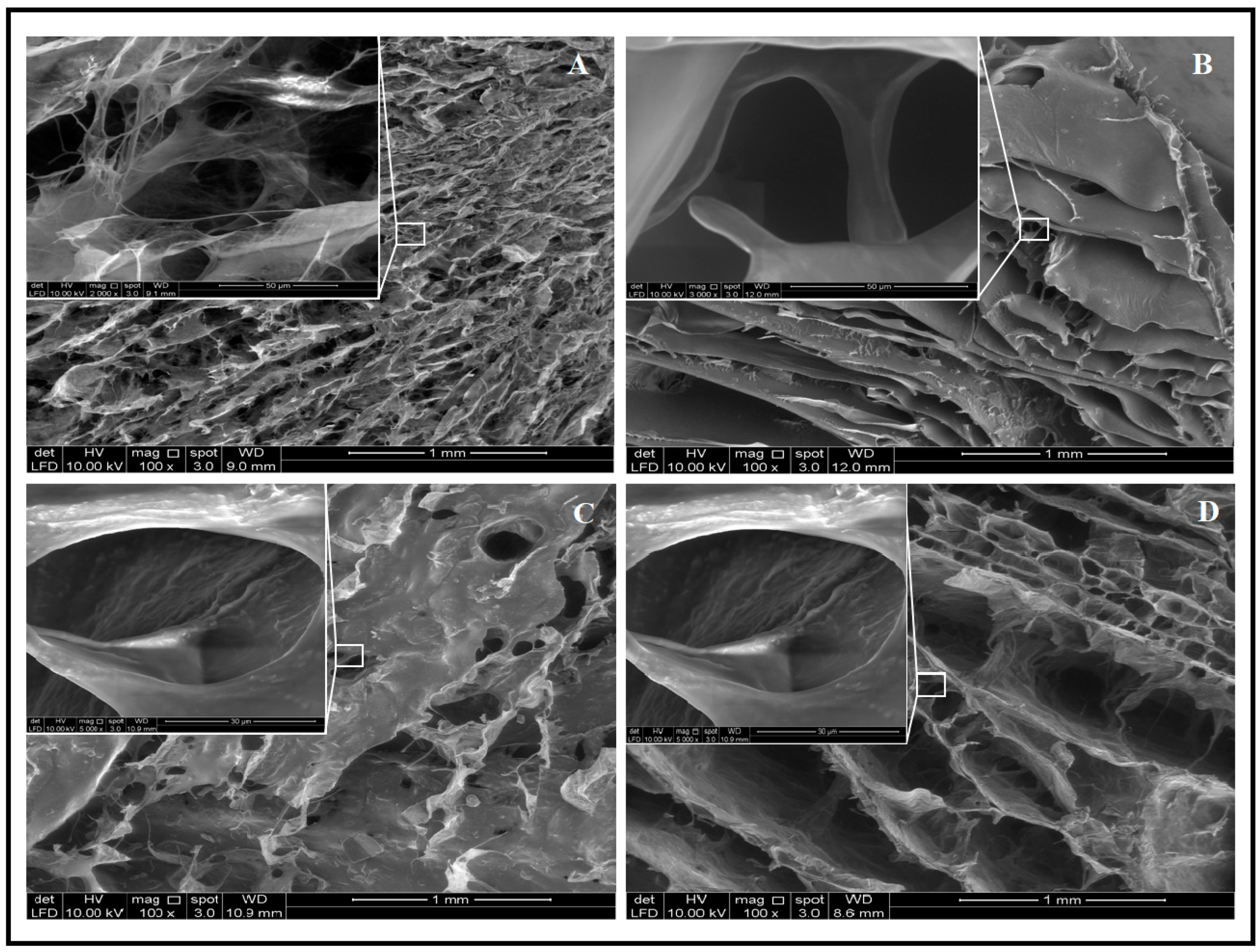 Gels 07 00246 g002 550