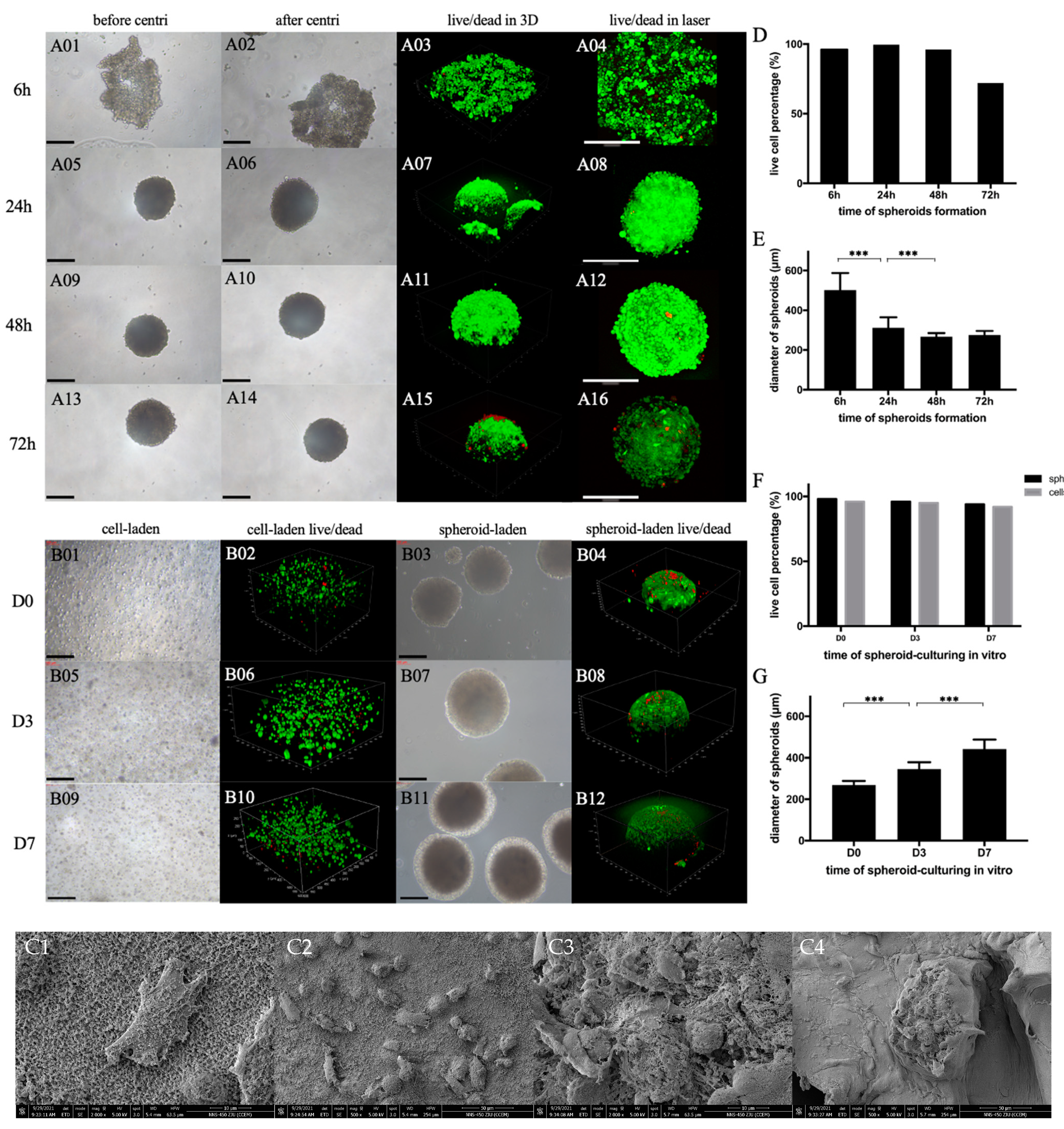 Gels 07 00247 g003 550