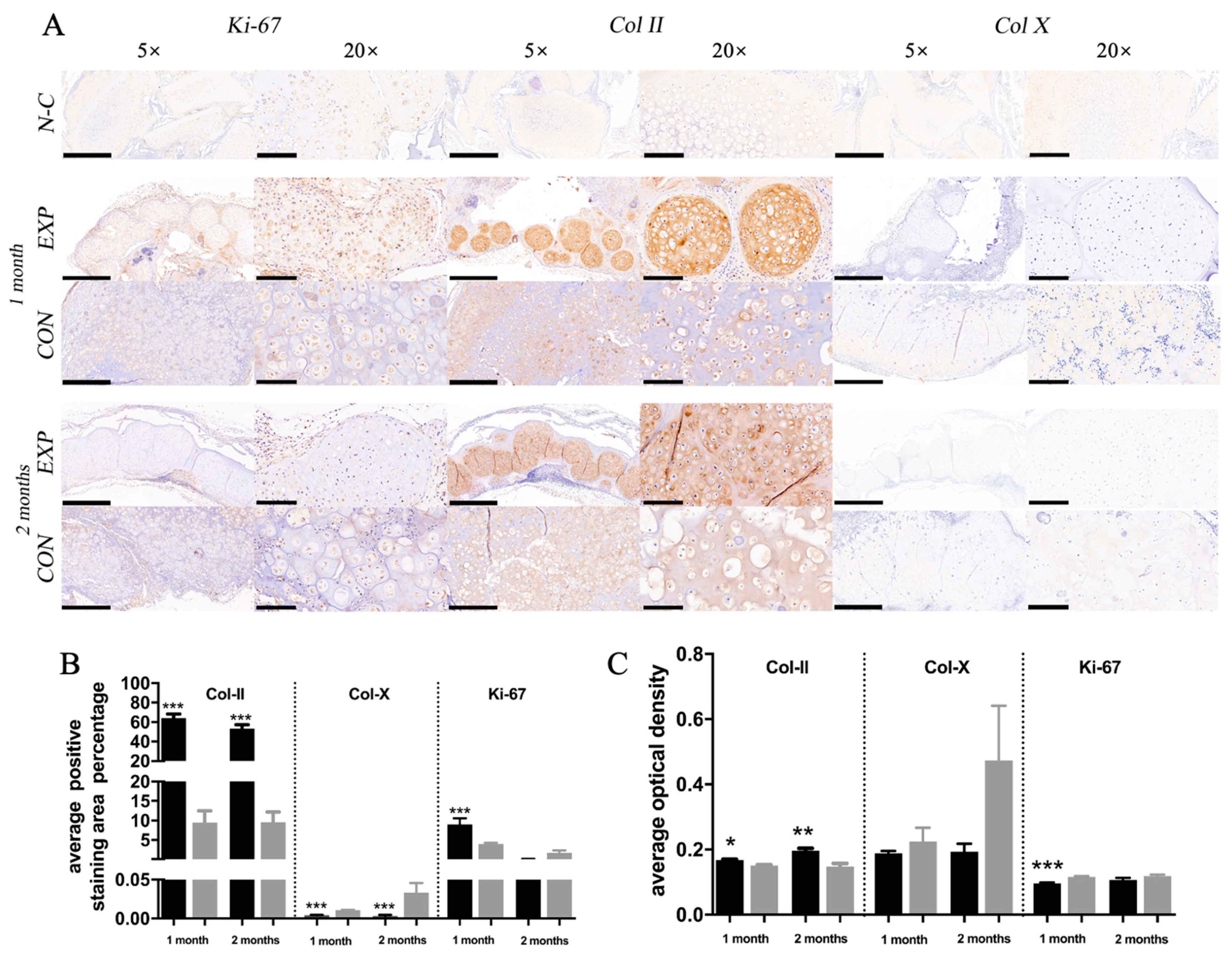 Gels 07 00247 g006 550