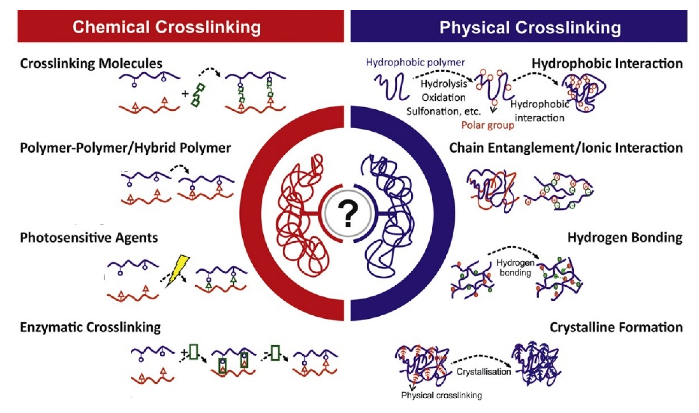 Gels 07 00255 g002 550