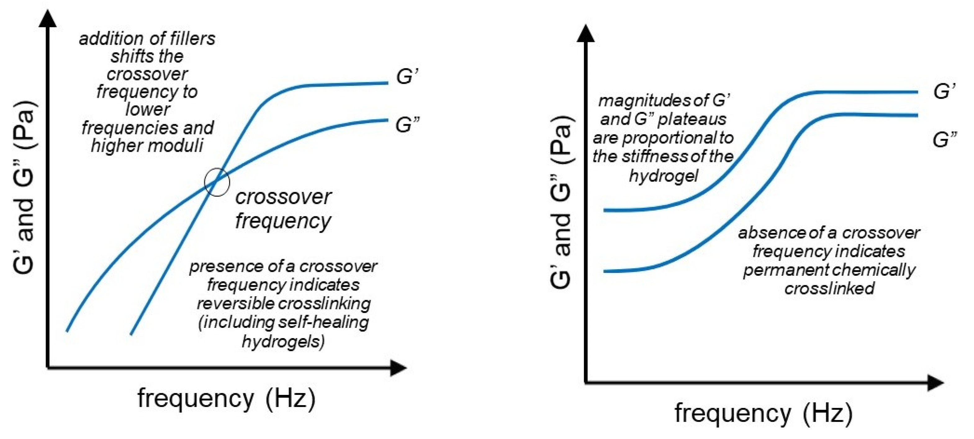 Gels Free FullText Relationship between Structure and Rheology of