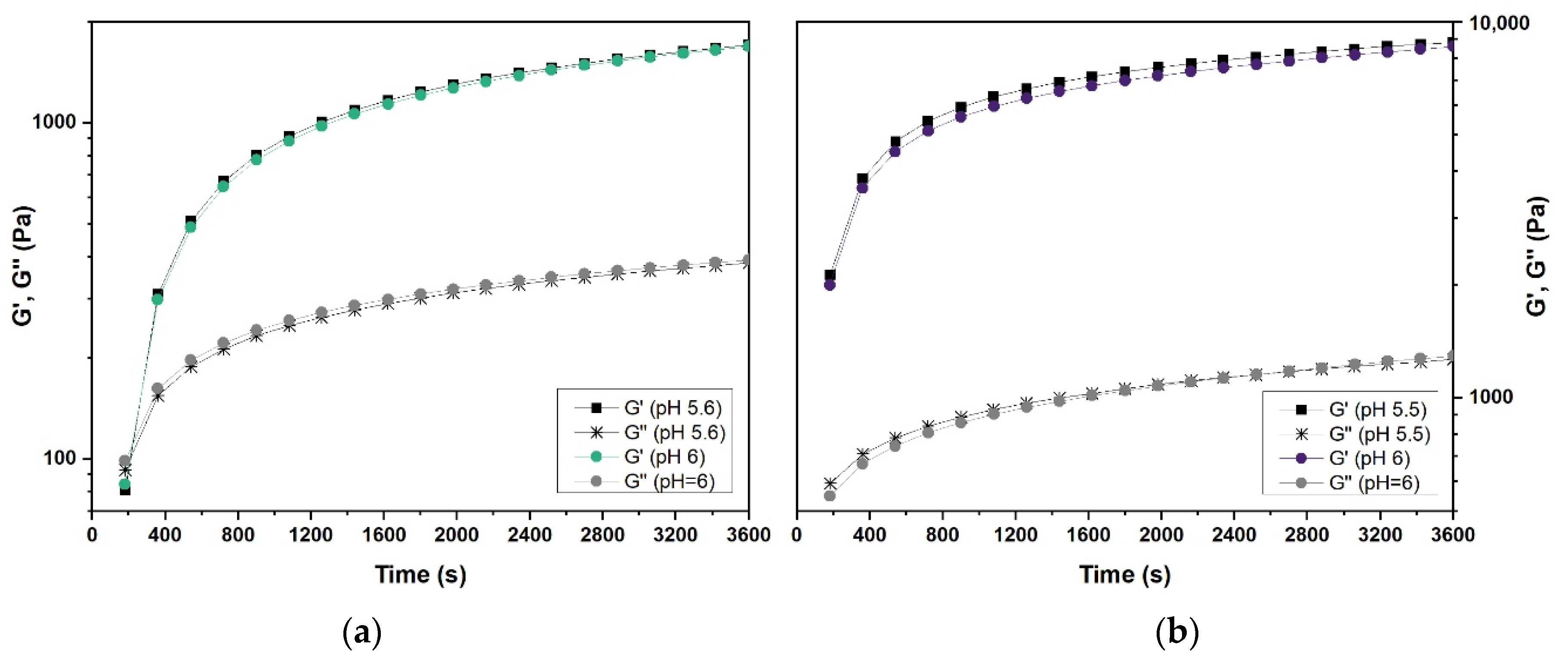 Gels 07 00271 g007 550