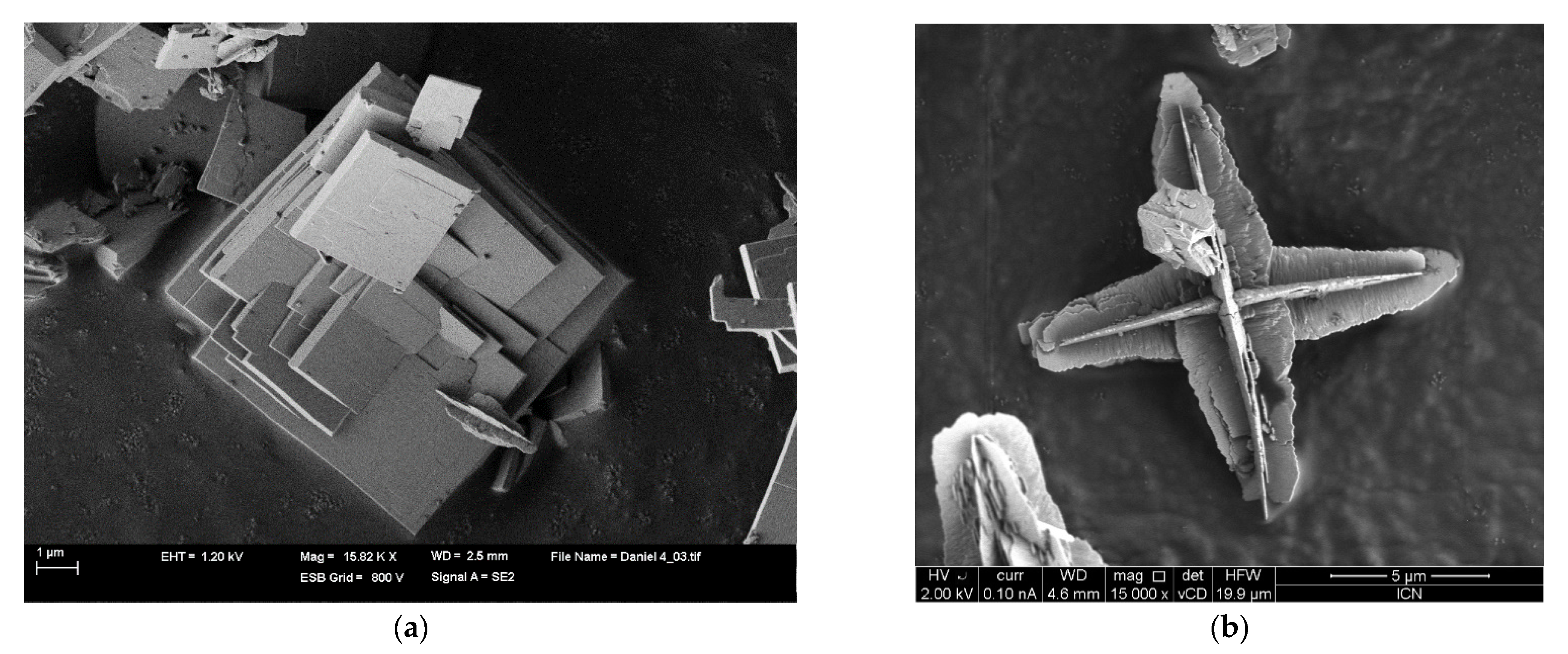 Gels 07 00275 g006 Gels 07 00275 g006