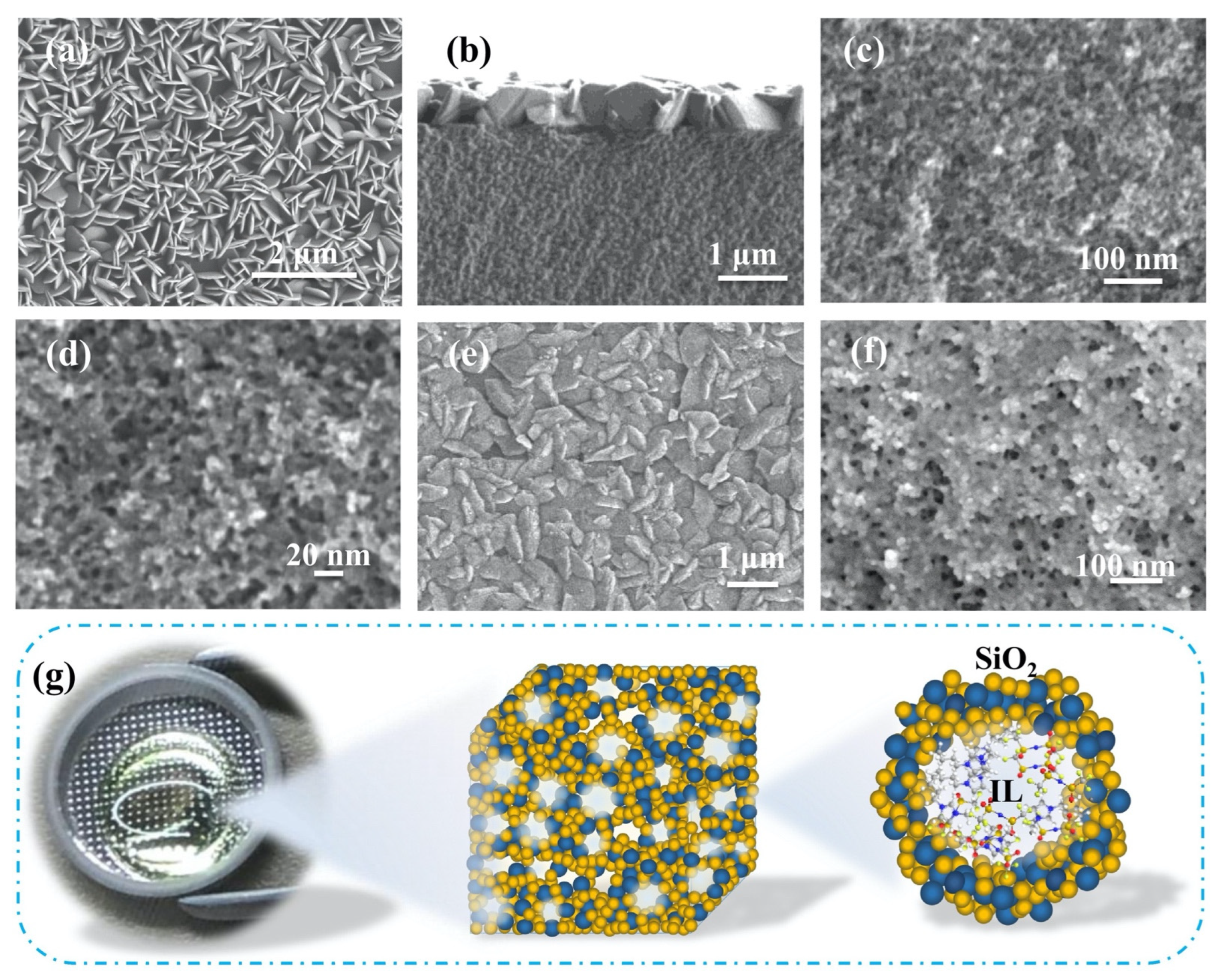 Gels 08 00002 g001 550