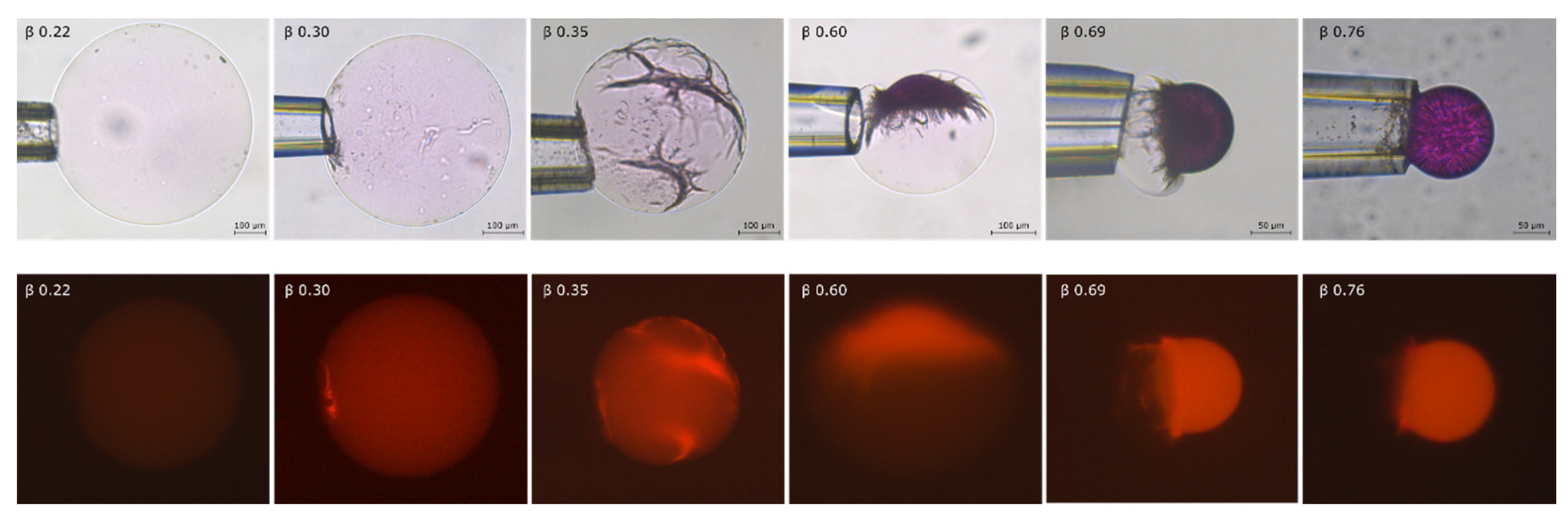 Gels 08 00004 g003