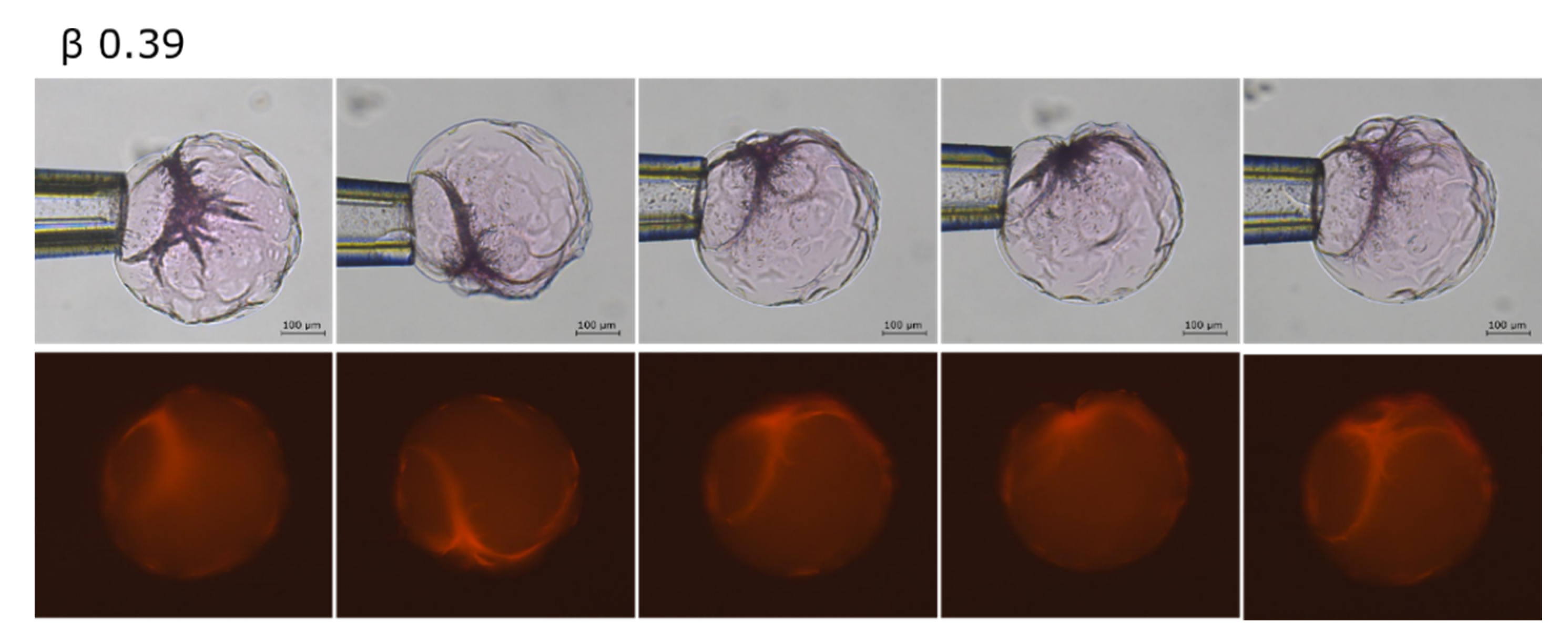 Gels 08 00004 g004