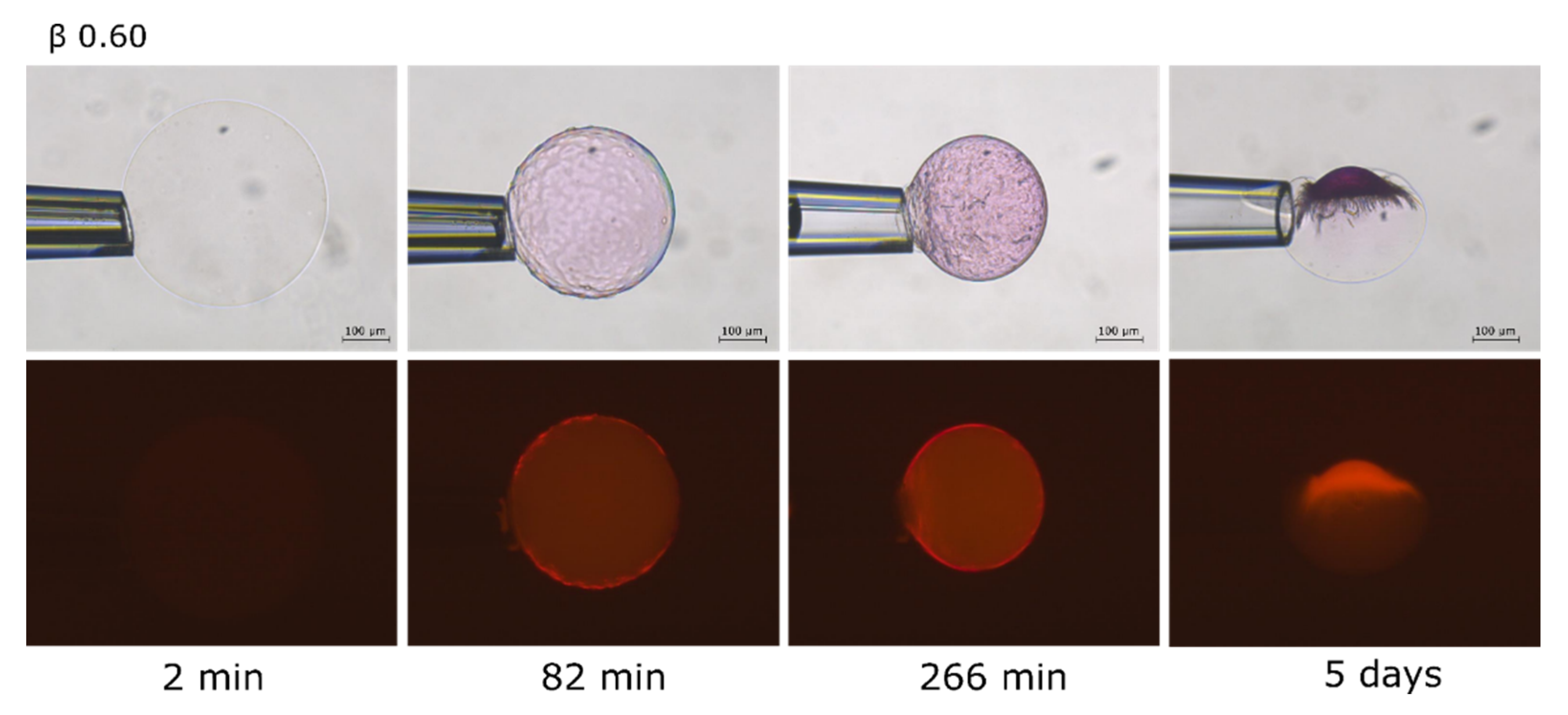 Gels 08 00004 g005